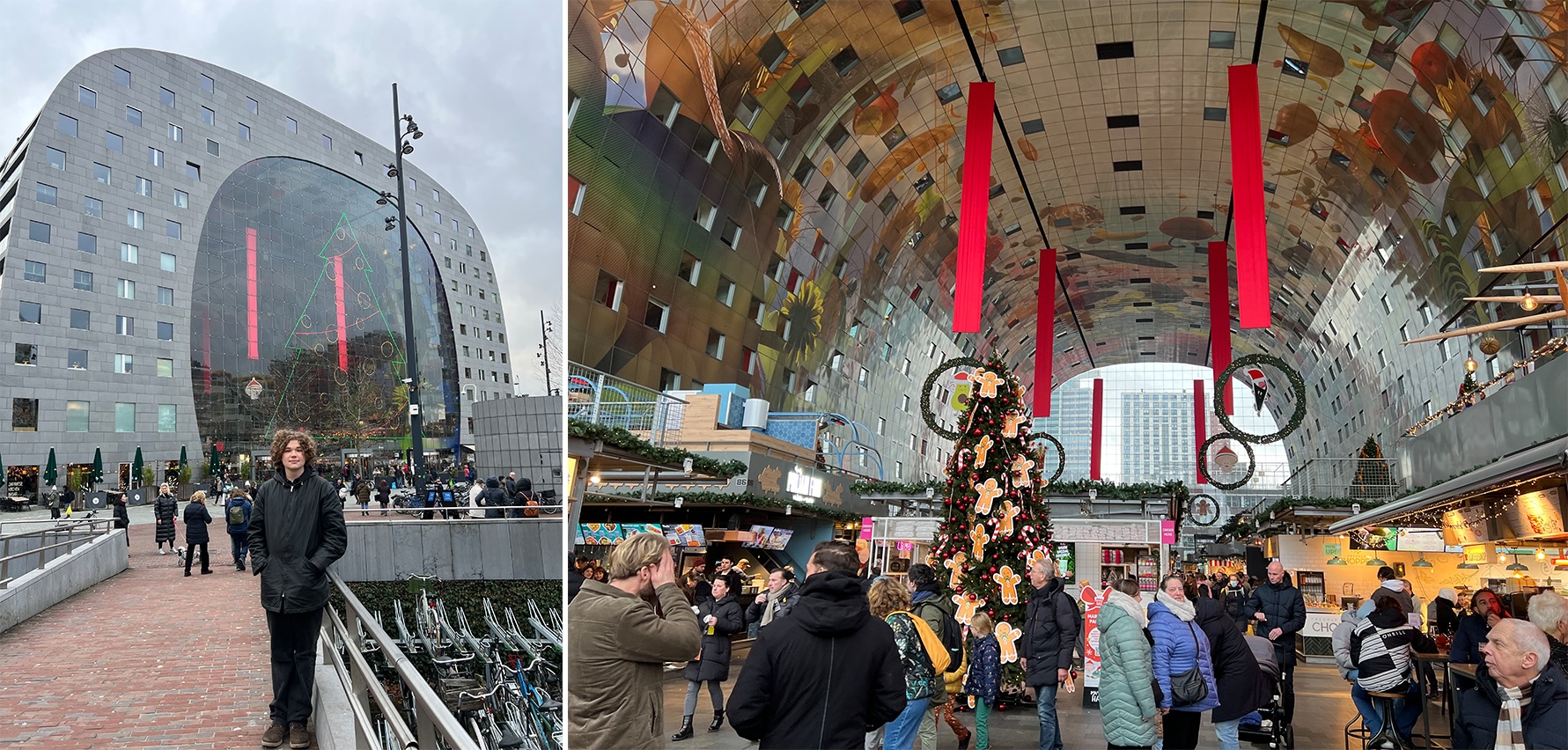 An antisocial Christmas, and a forage-free new year