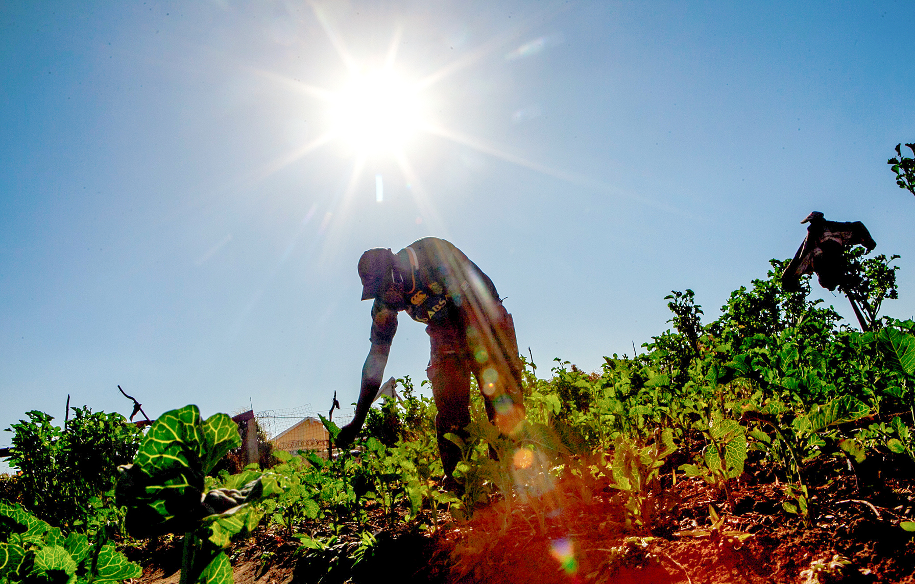 This week — Africa Children’s Summit, Children and Climate Change Lecture, Young Farmers’ Indaba