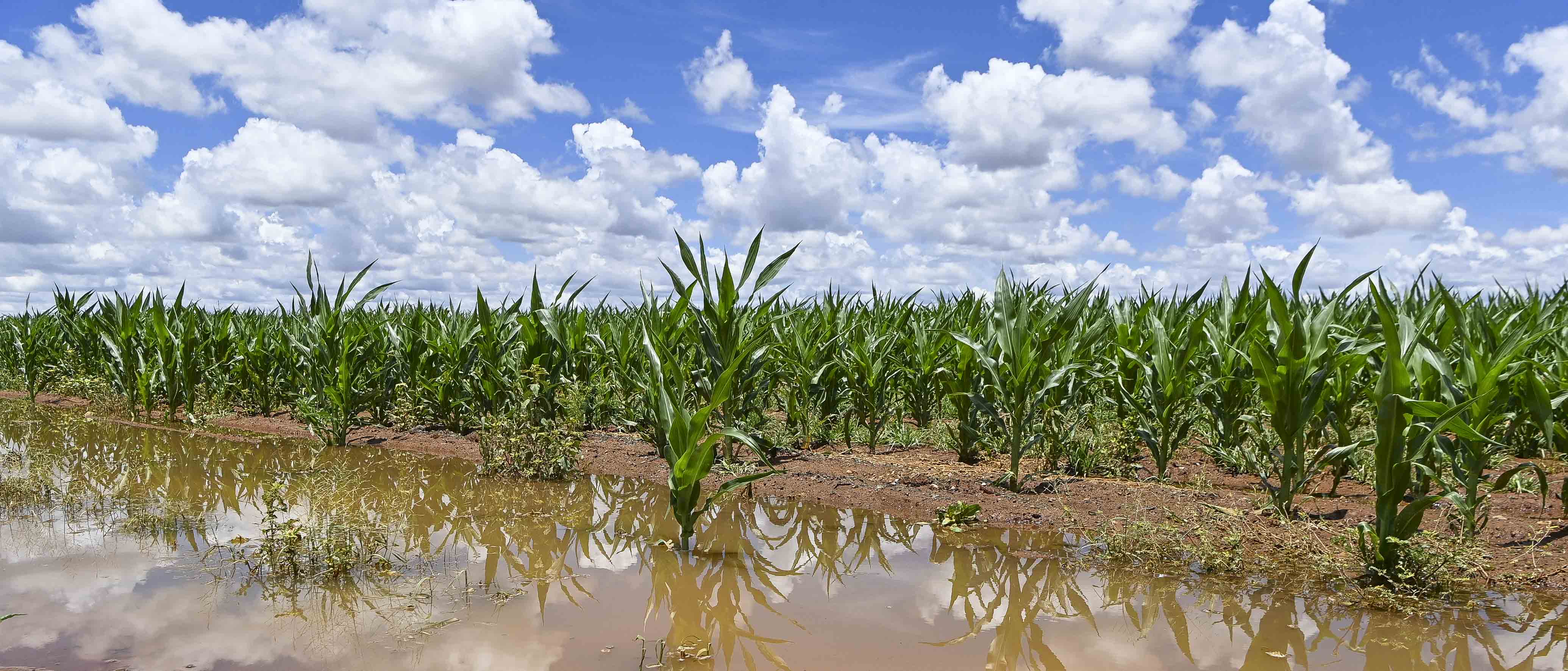 Hunger: Delayed summer rains in much of Southern Africa to compound region’s misery