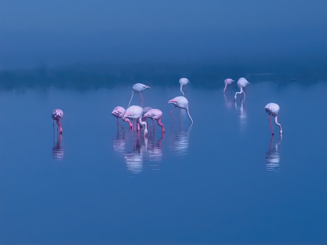 P4U_readersubmission_20250110