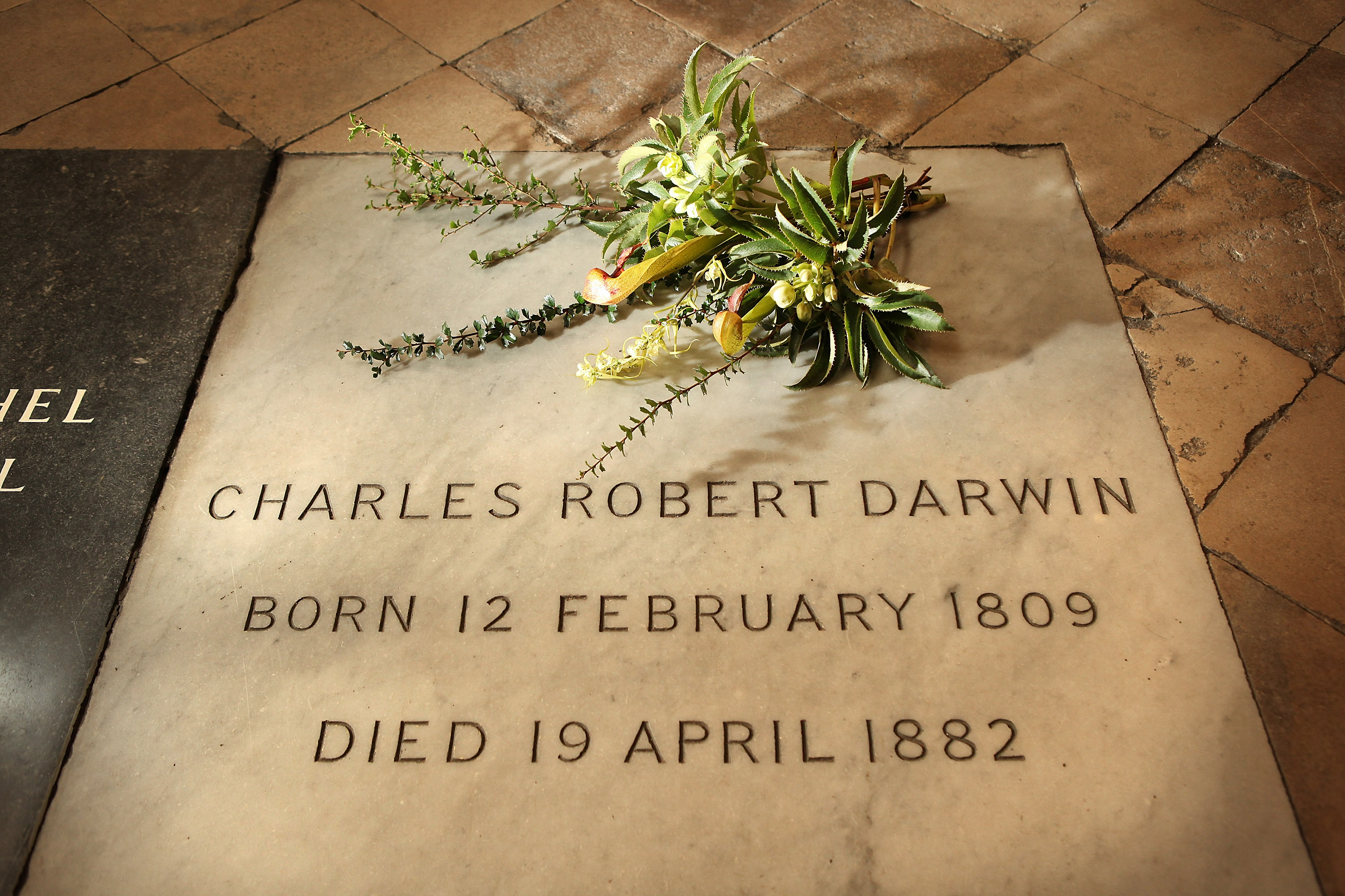A Wreath From Down House is Placed On The Grave Of Charles Darwin