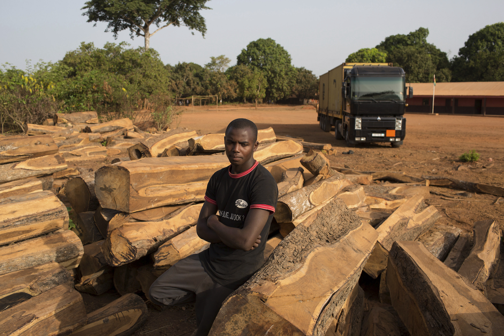 Global hardwood demand fuelling illicit trade cuts deep into Gambia’s revenue