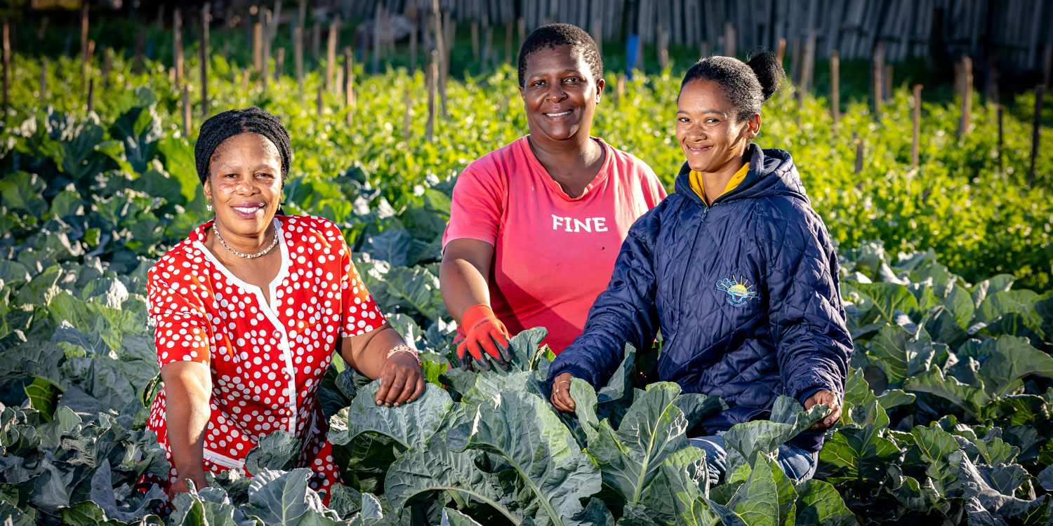 Gqeberha community centre ‘flips’ charity mindset to give members nutrition, empowerment and dignity