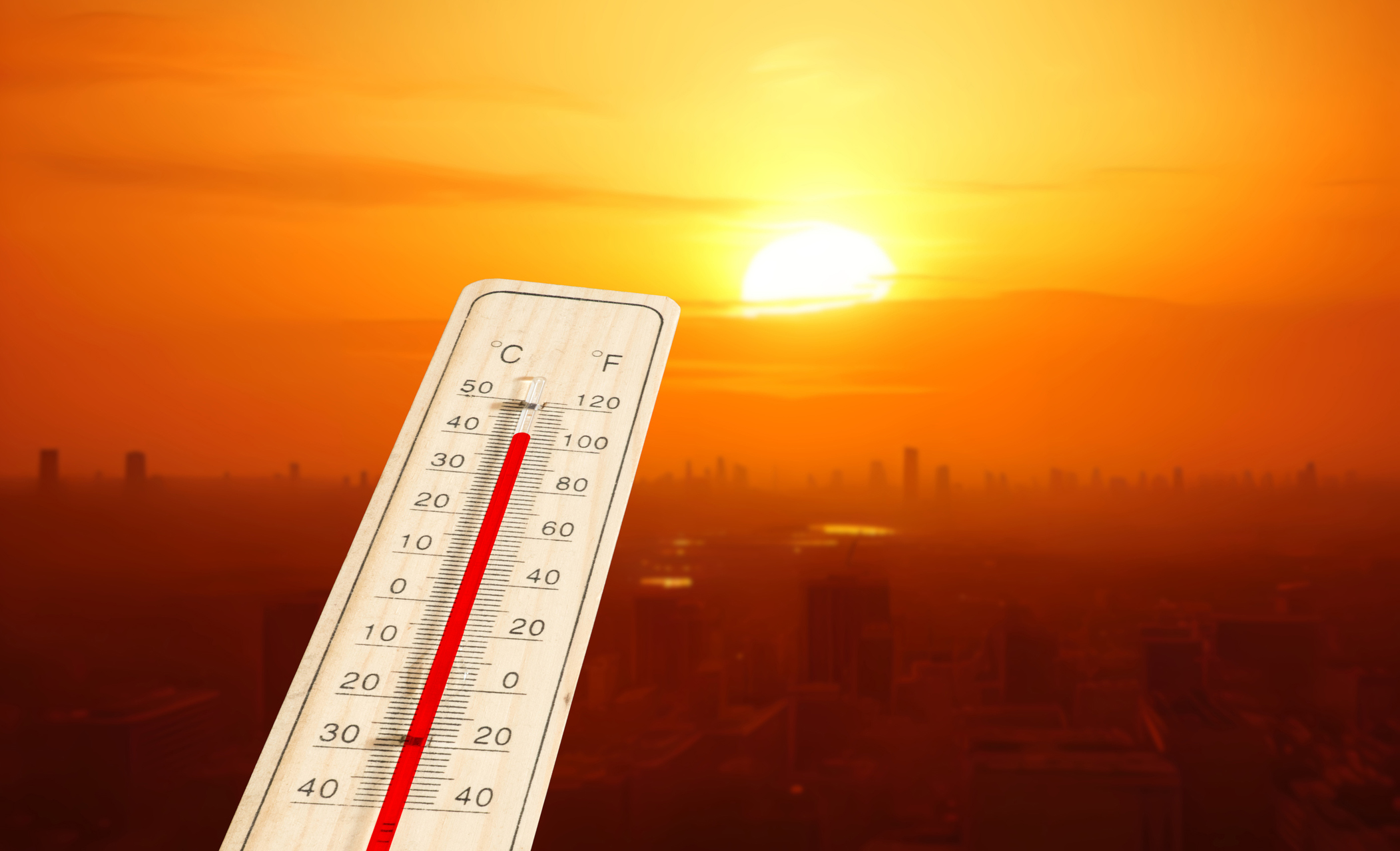 It's official — 2024 warmest year on record globally, first to exceed 1.5°C above pre-industrial level