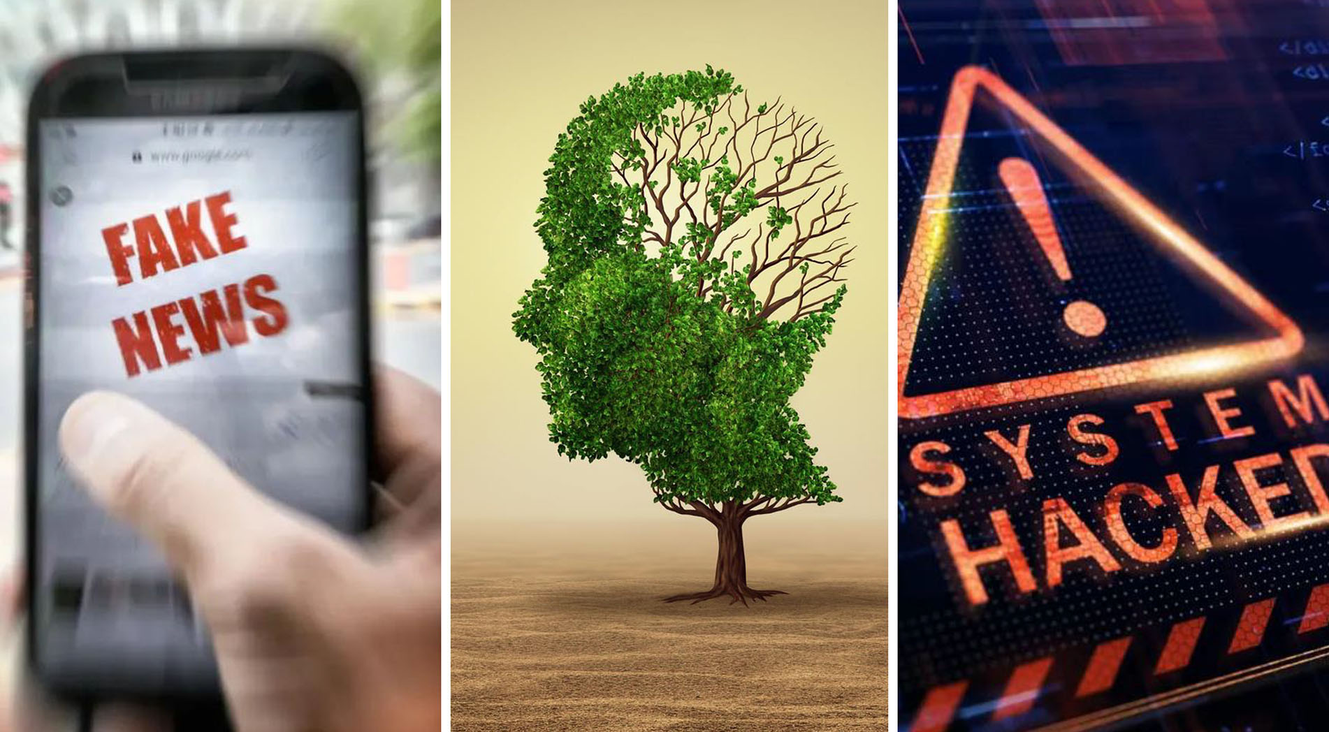 2025's triple threats — disinformation, climate change and cybercrime