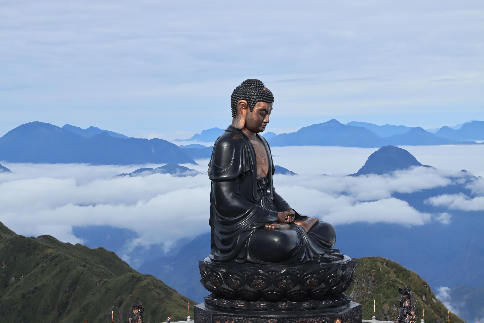 I have a picture for you! 11-17 January 2025