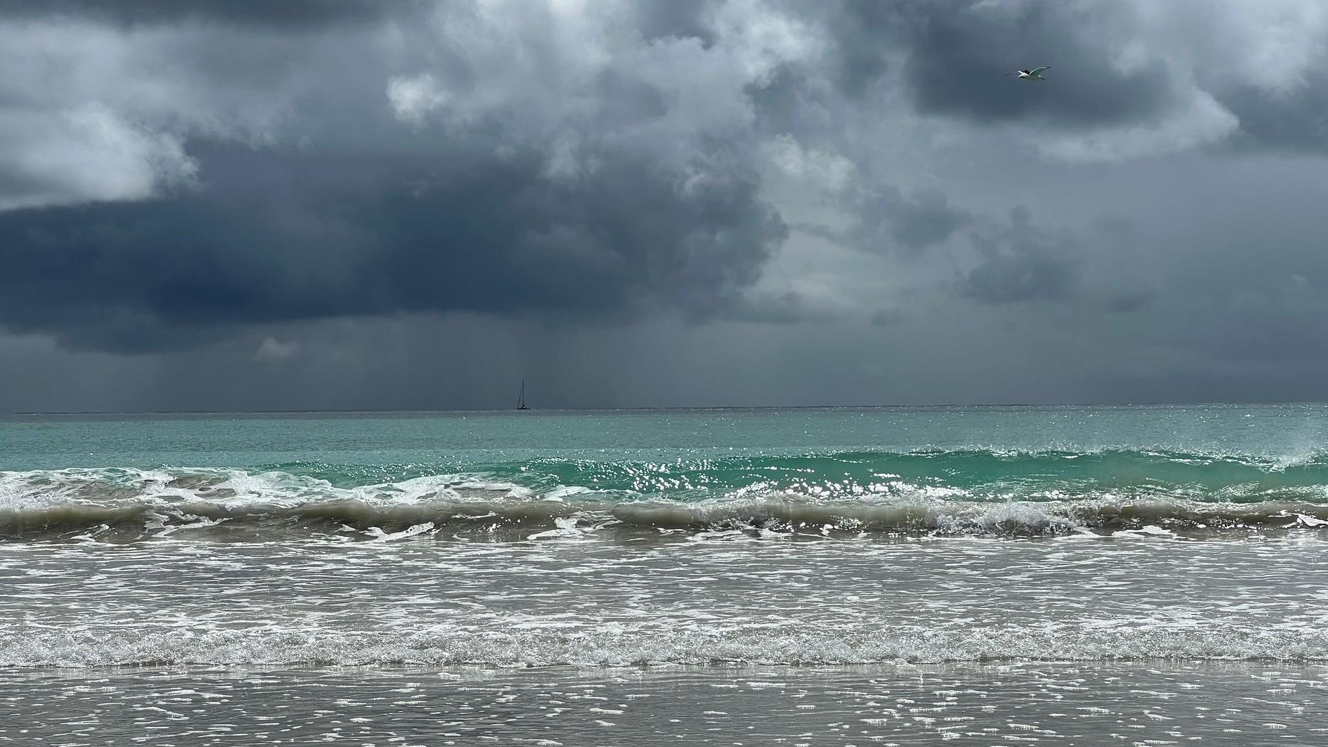 I have a picture for you! 18-24 January 2025