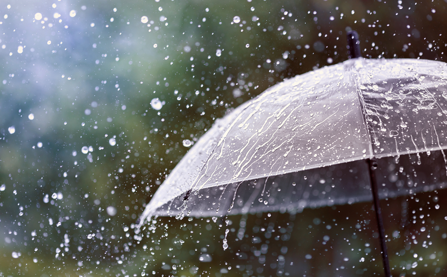 Alarming surge in road fatalities in KZN sparks urgent warning as holidaymakers head home