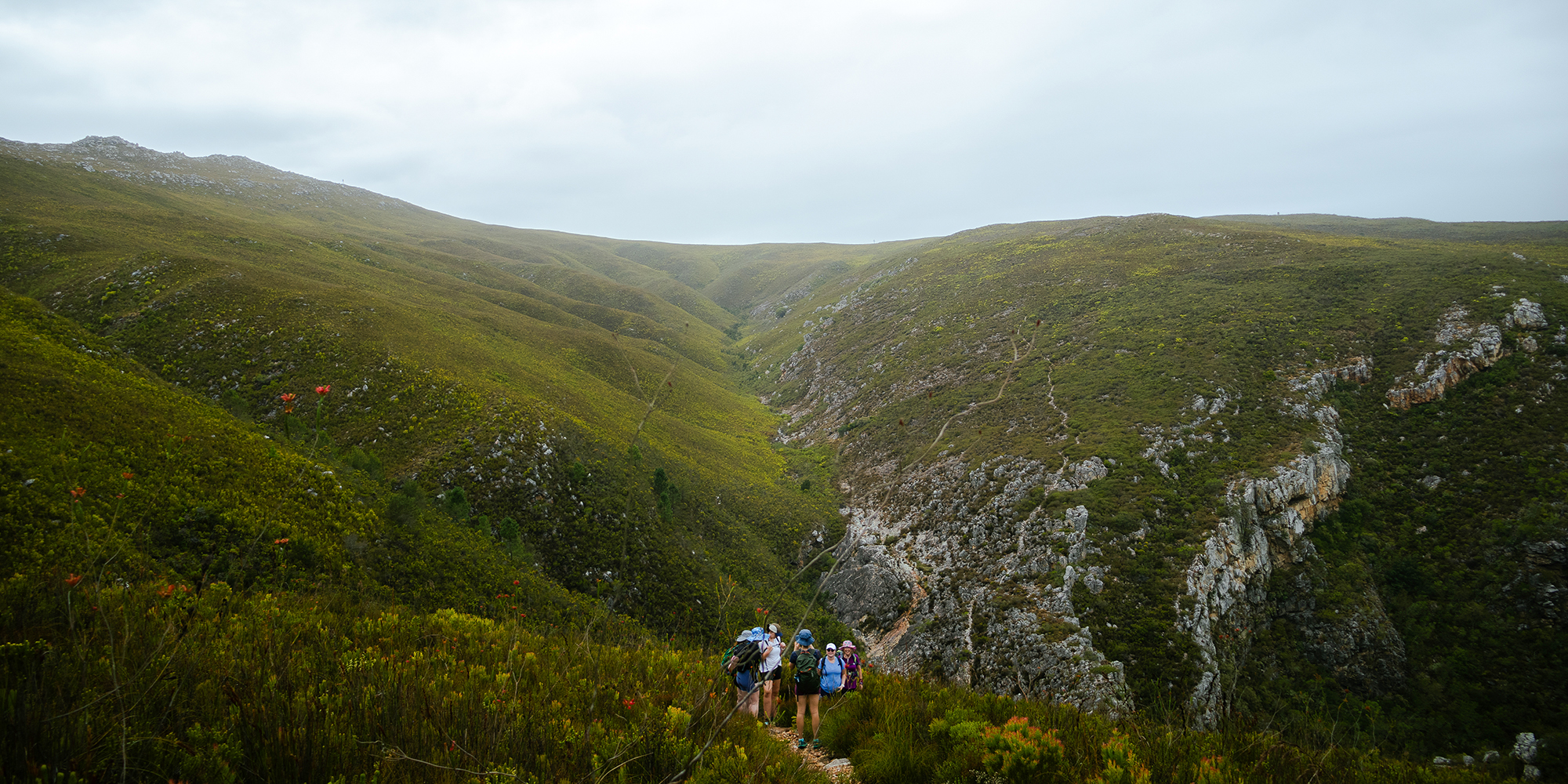 The Whale Trail: South Africa’s coveted hike promising serenity and spectacular coastal views