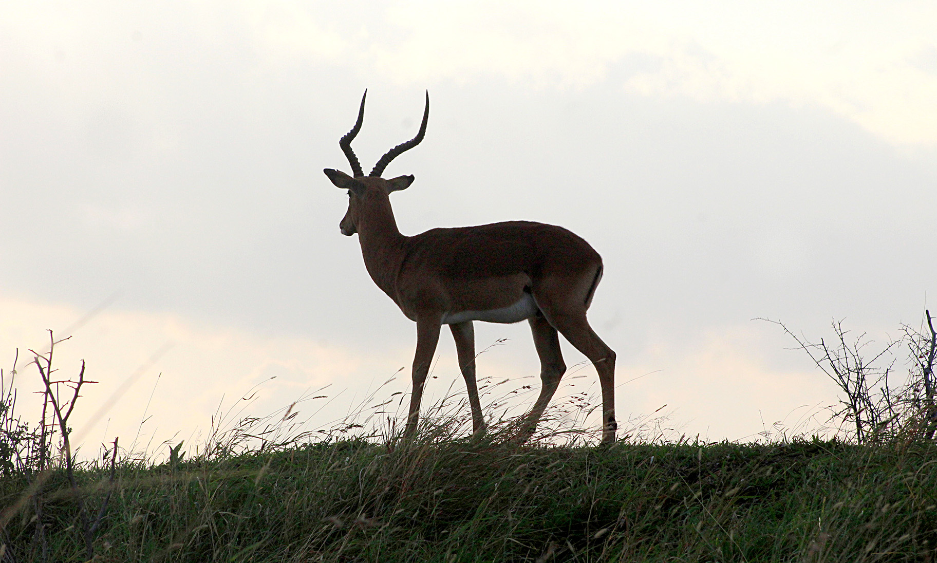 Envisioning the future: Will South Africa's protected areas survive in a changing world?