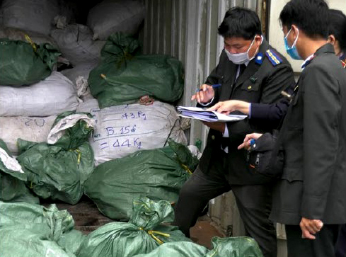 Rhino horns and elephant tusks are burnt in Da Nang City in December 2023 (Photo: Vietnam Government report to CITES)