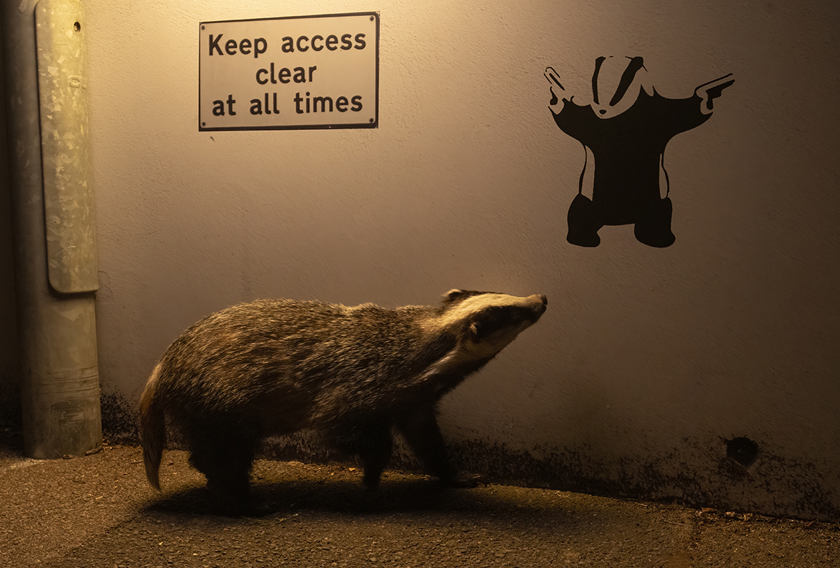 Nature’s Finest: Wildlife Photographer of the Year People’s Choice Award