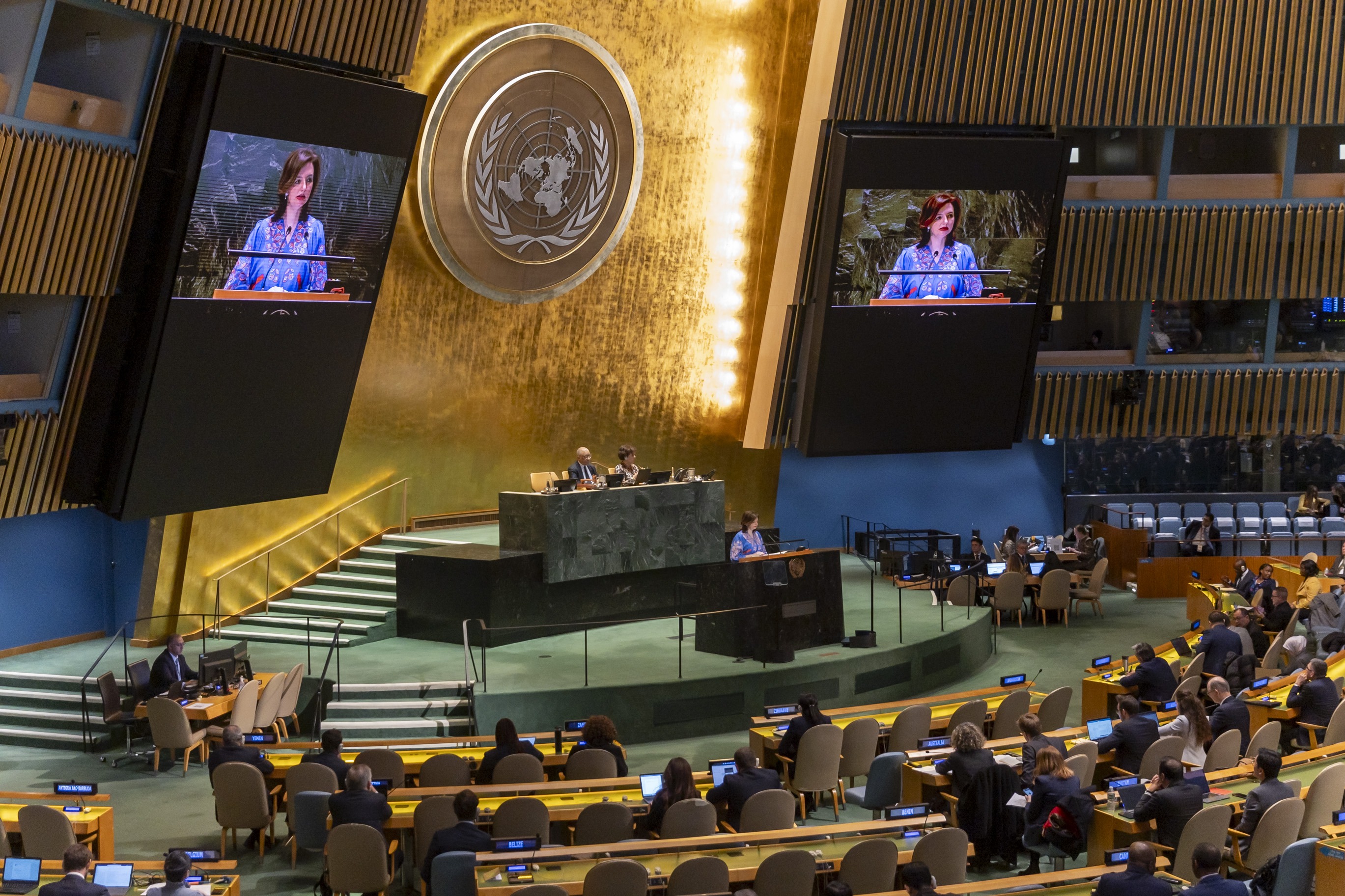 UN resolution highlights diplomatic shift as South Africa votes for Ukraine amid US retreat