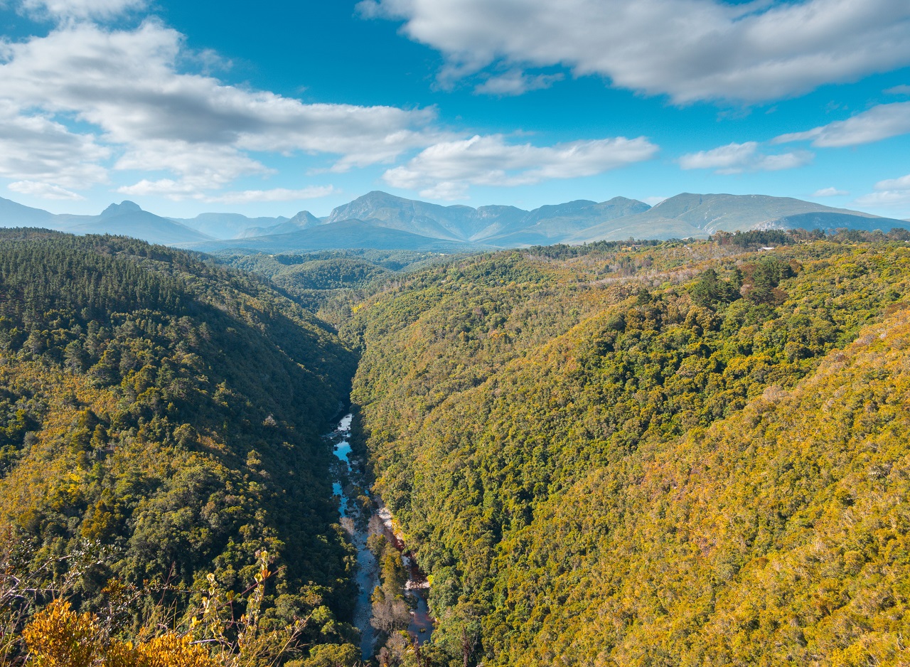 I have a picture for you! 01-07 February 2025