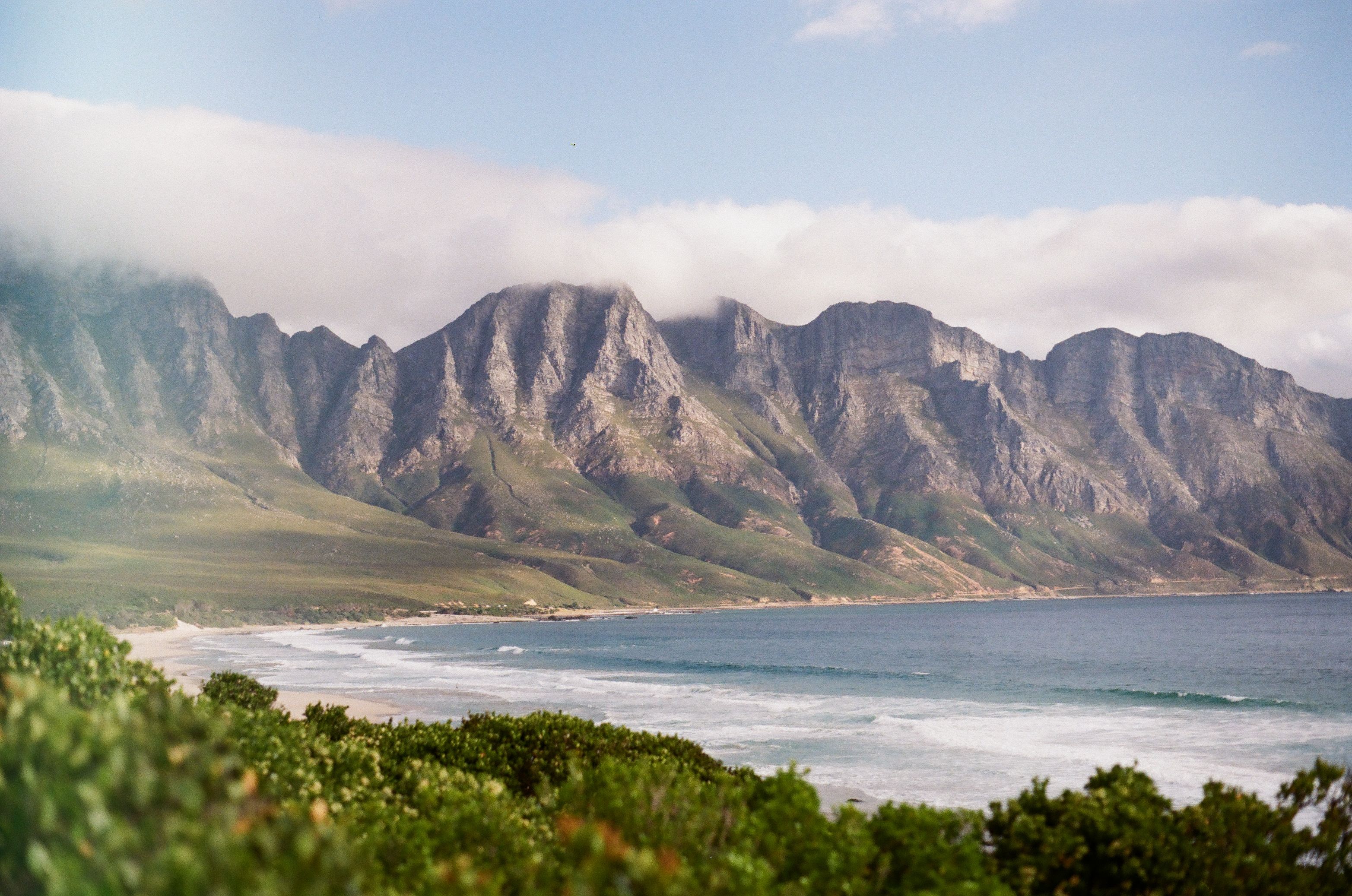 I have a picture for you! 22-28 February 2025