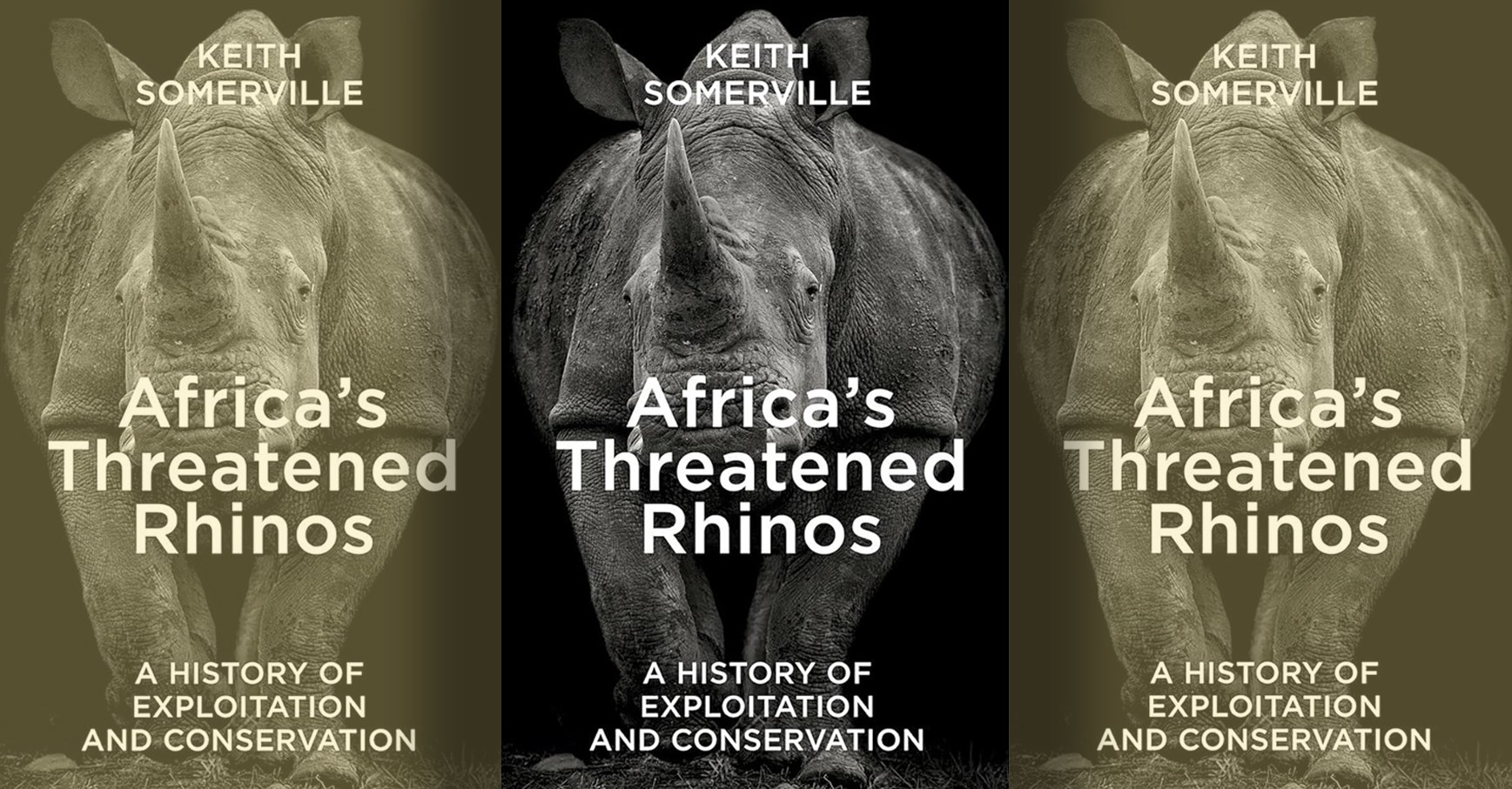 A sweeping history of Africa’s rhinos calls for a rethink of wildlife trade policy