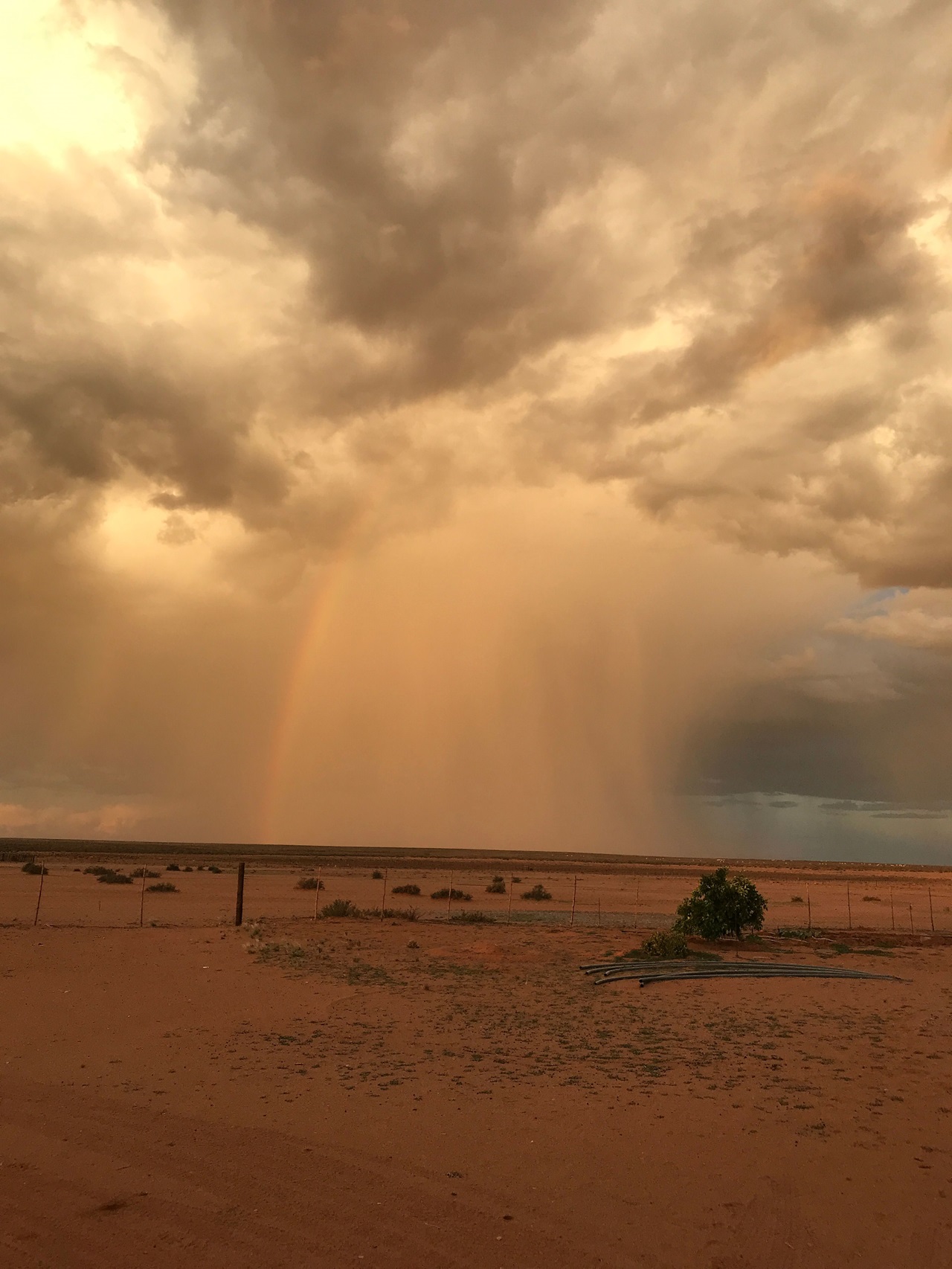 I have a picture for you! 15-21 February 2025