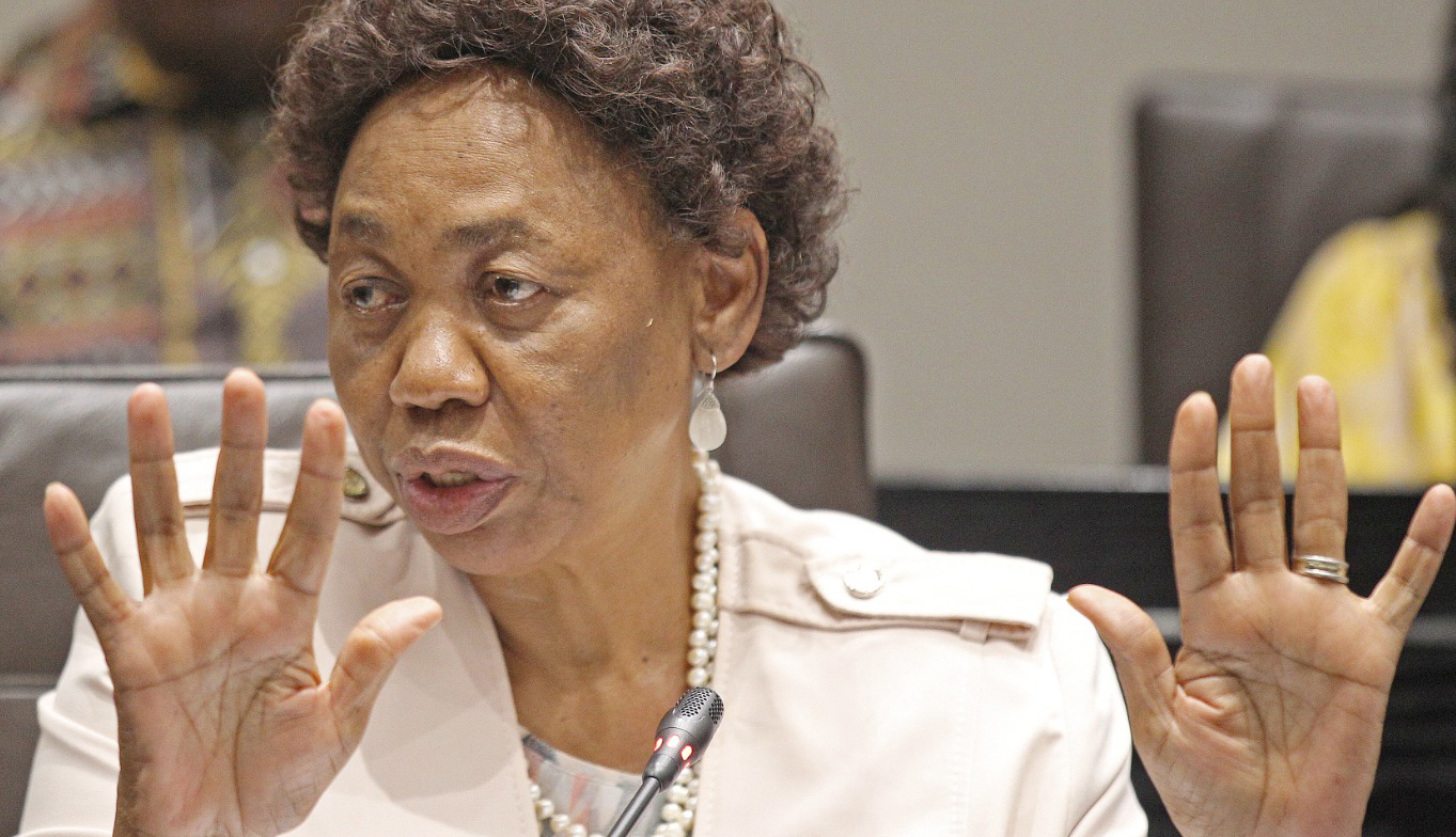 Motshekga on military veterans department: ‘I found a wrecked ship’
