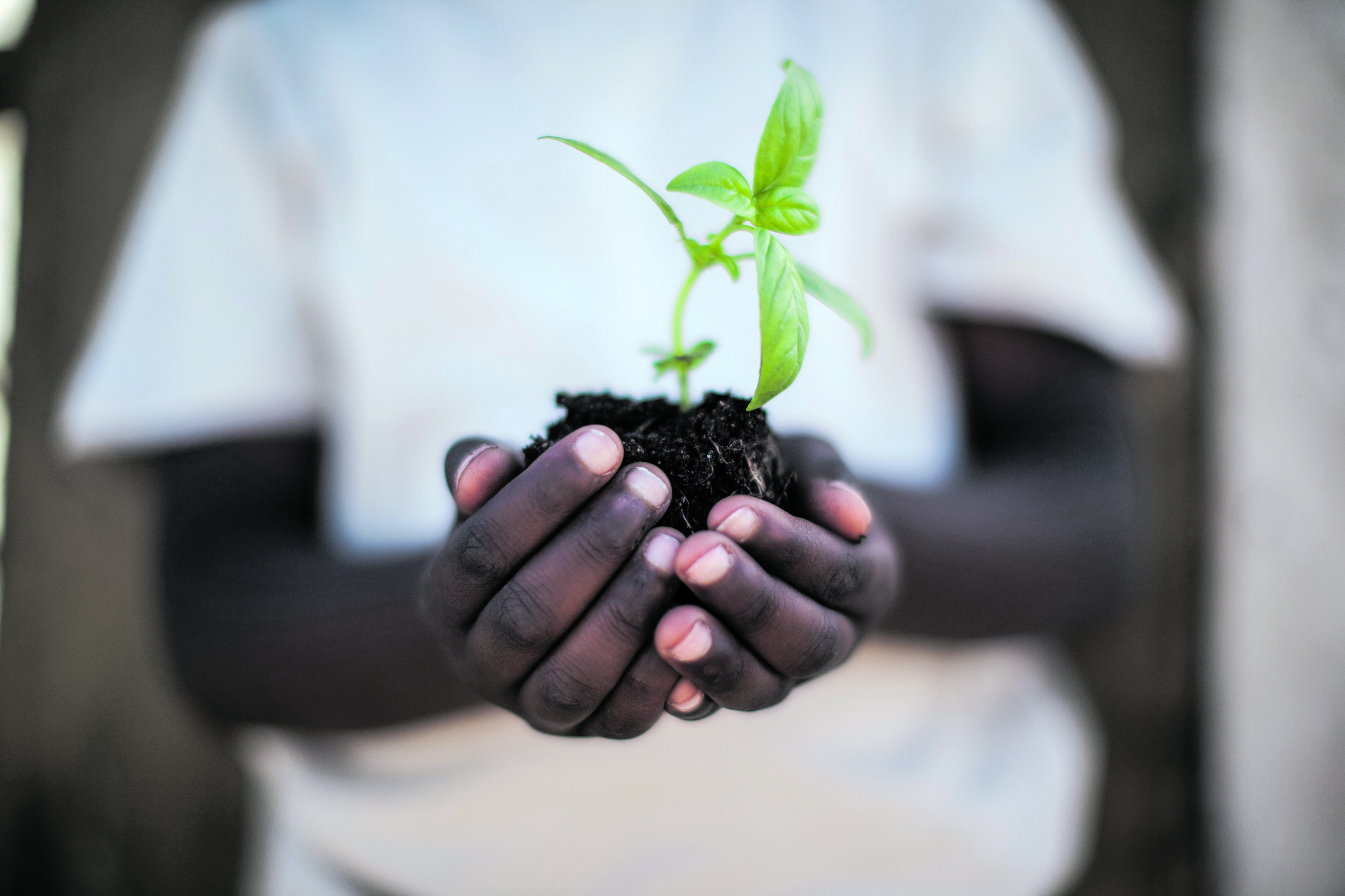 Cape Town urban food gardens grow bonds for young farmers, create jobs and boost conservation