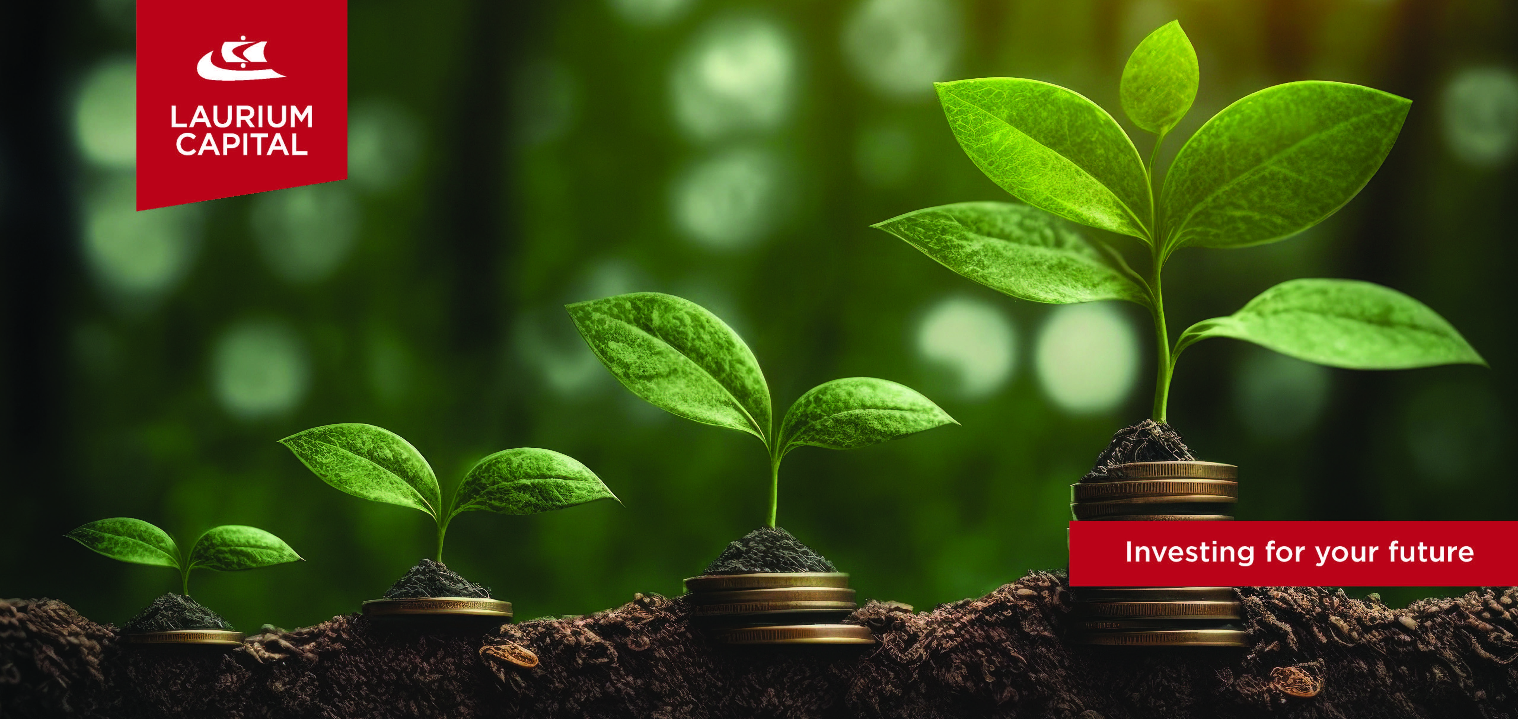 Daily Maverick header banner February 2025