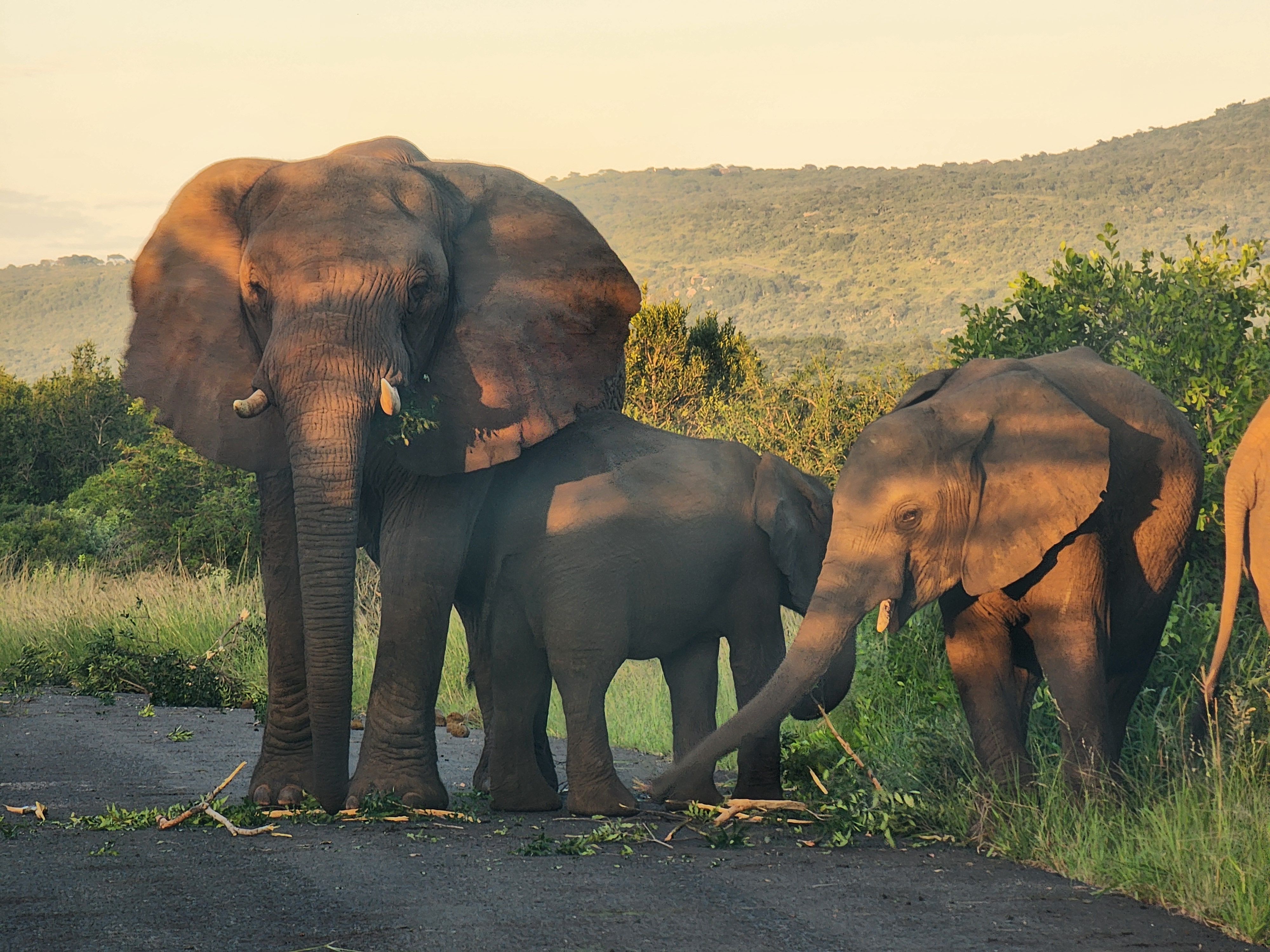 P4U_readersubmission_20250314