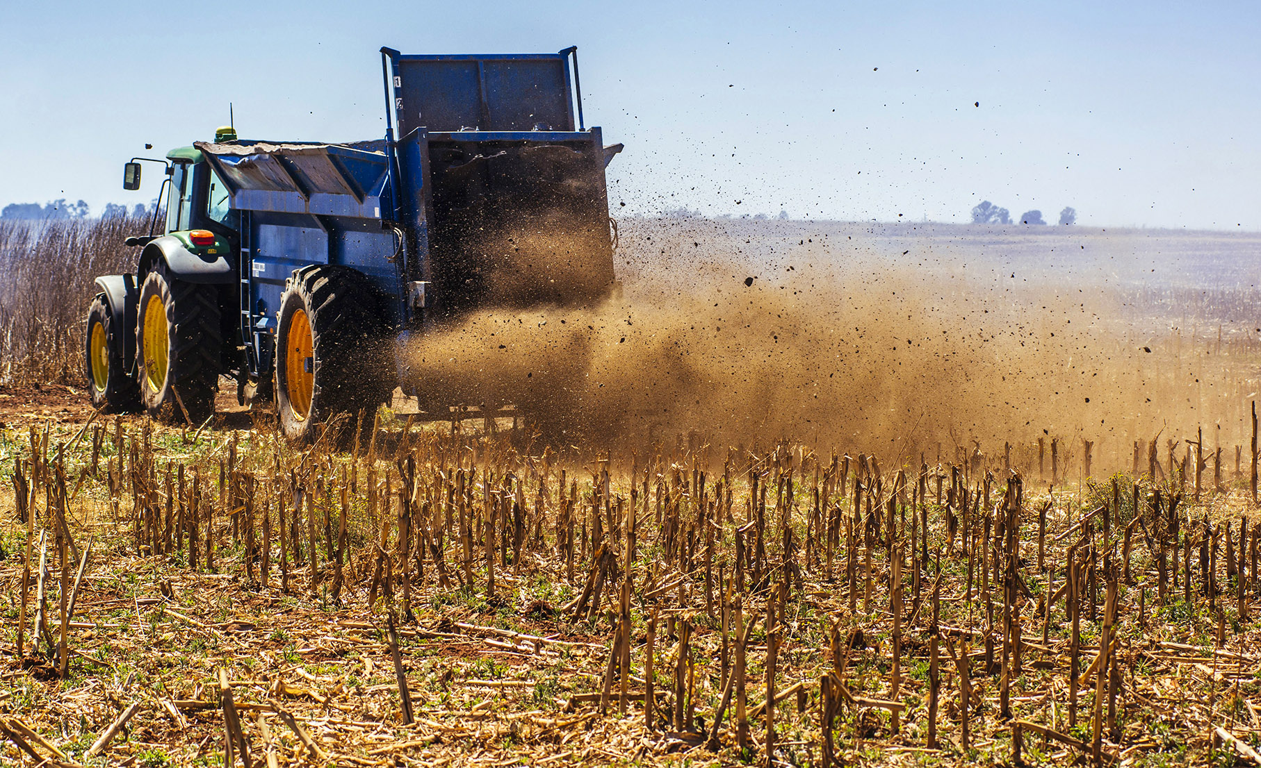 ‘We must be clear there’s no white genocide in SA’, frustrated MPs urge