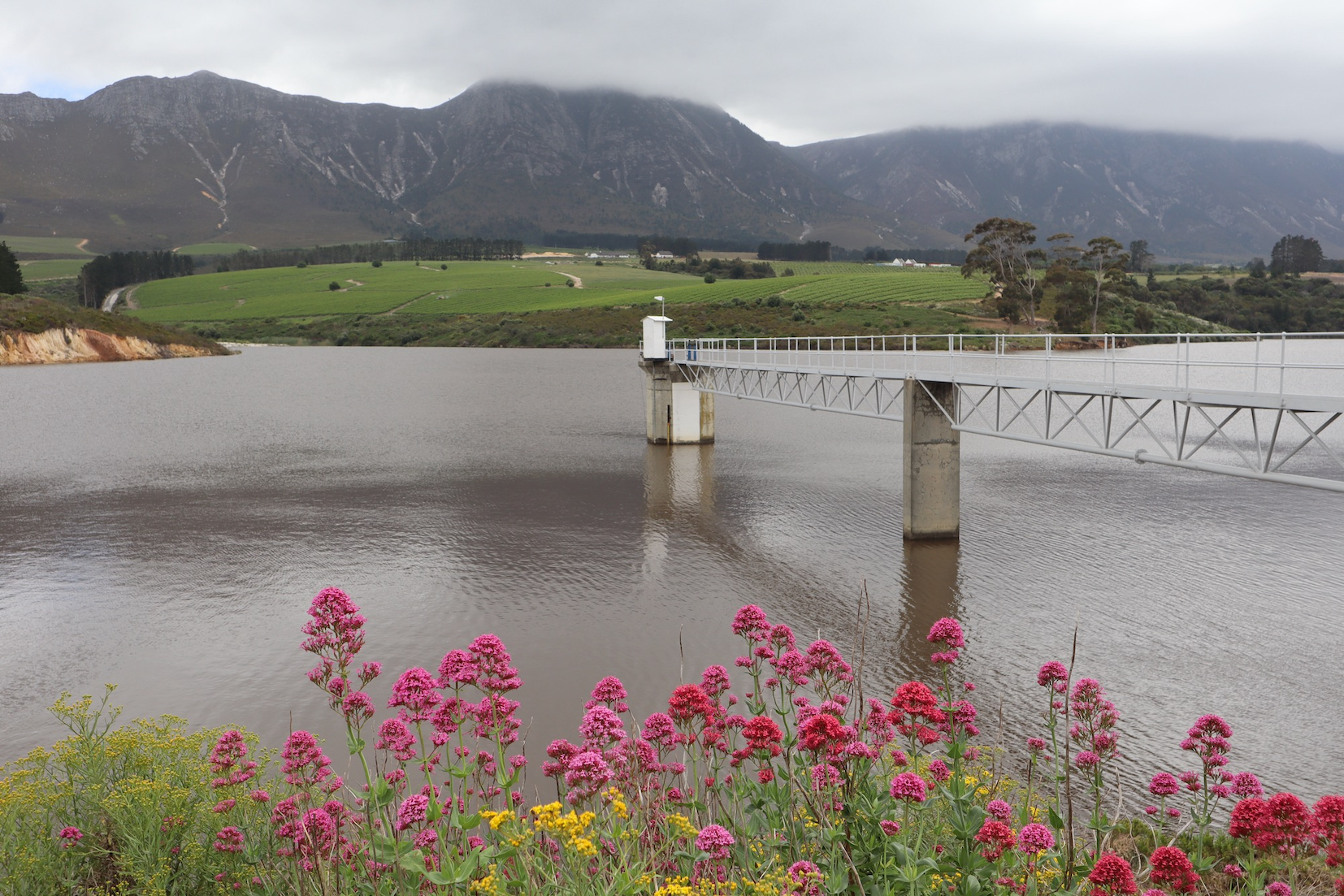 Accountability gap - SA municipalities are taking more water from dams than they’re allowed