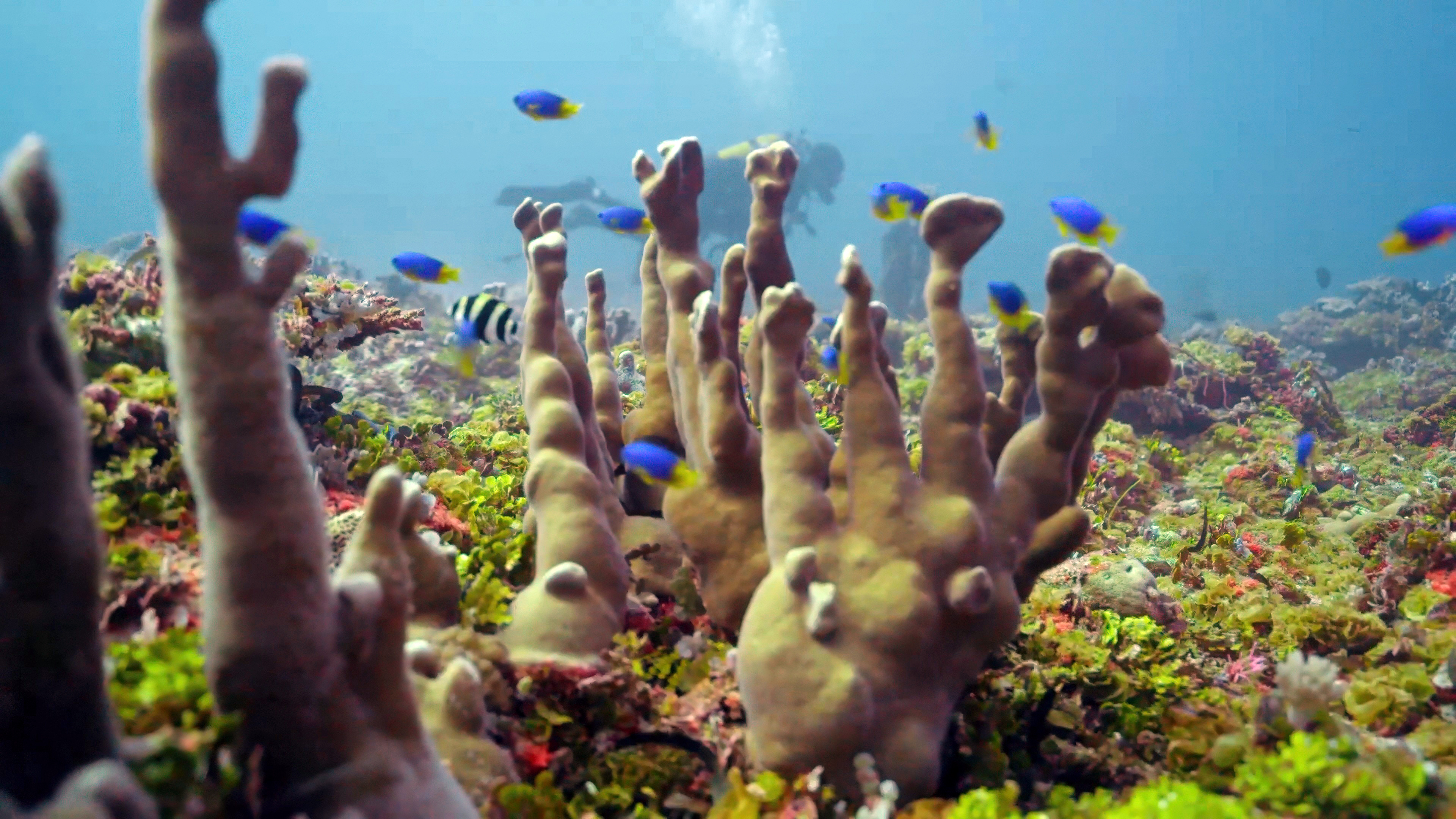 Robbing a bank when no one’s looking