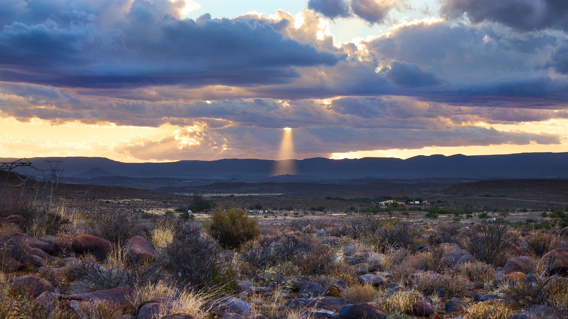 I have a picture for you! 15 March-21 March 2025