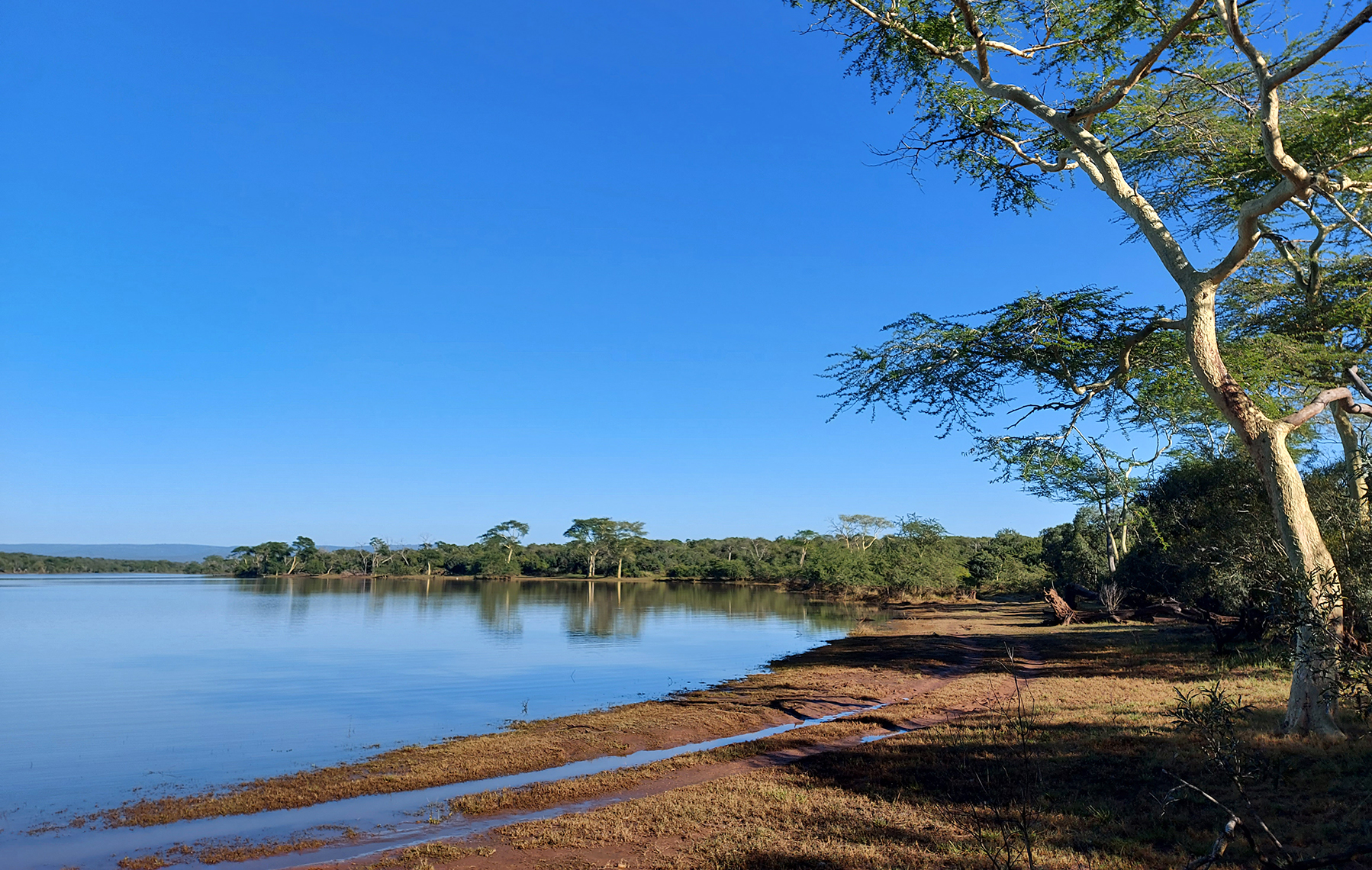 Ndumo Game Reserve facing mounting pressure amid fight for sustainable conservation