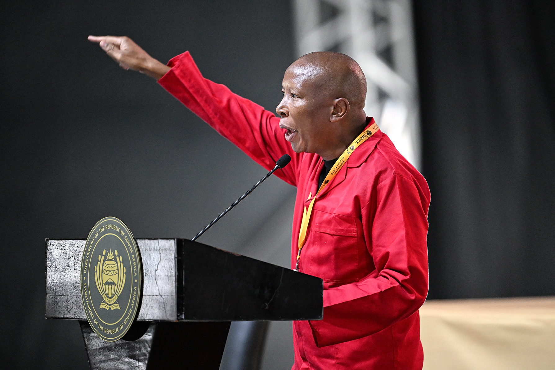 Trump's US is punishing SA ‘for supporting Palestine against apartheid Israel’, says Malema