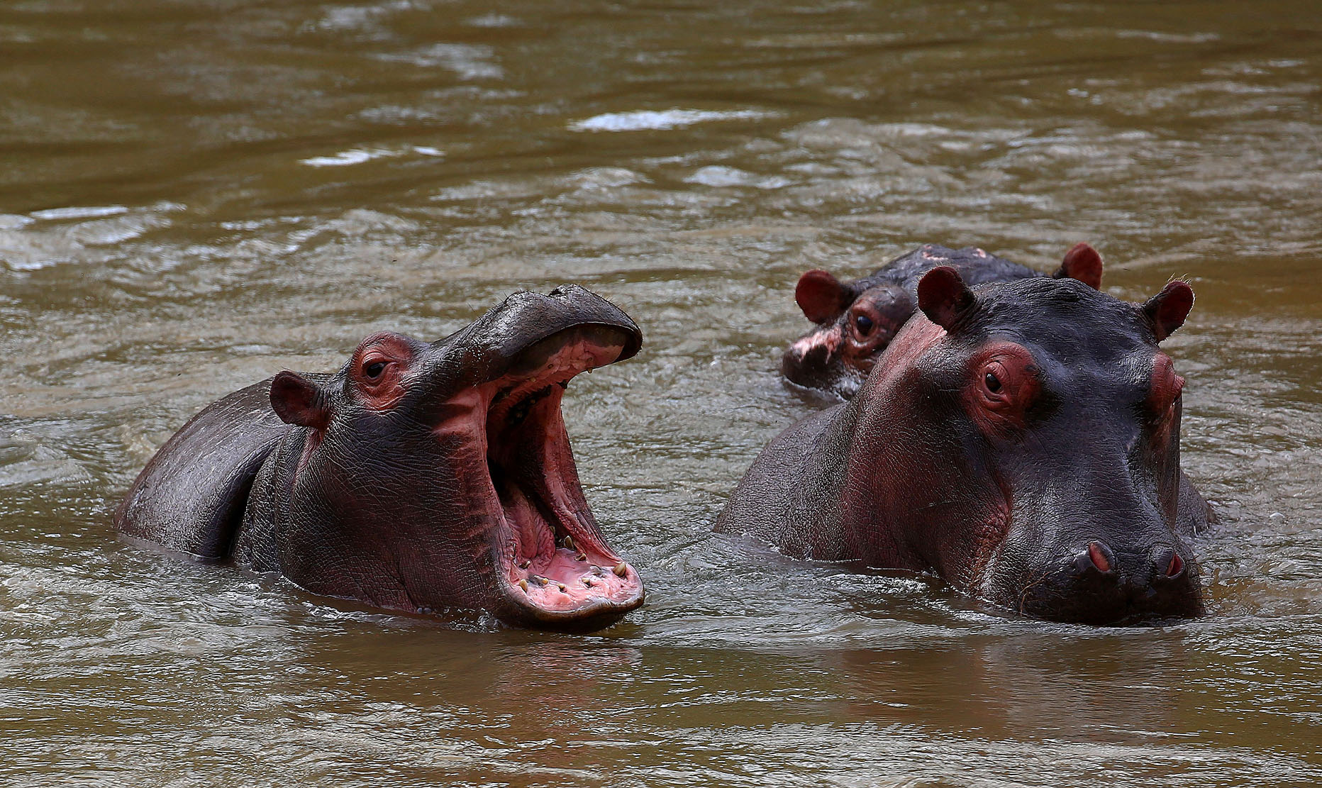 Fate of KZN’s century-old Ndumo wetland park in doubt – despite global treaty ‘protection’