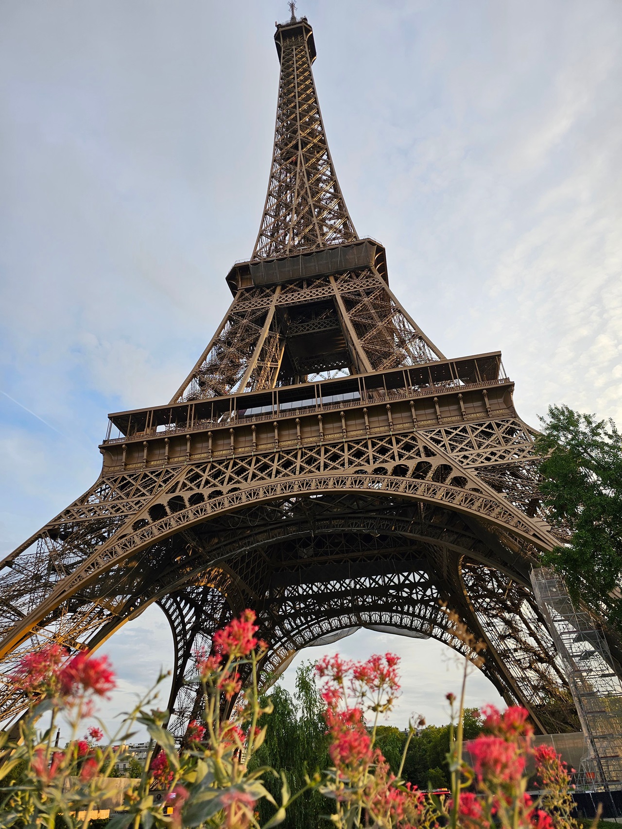 I have a picture for you! 08 March-14 March 2025