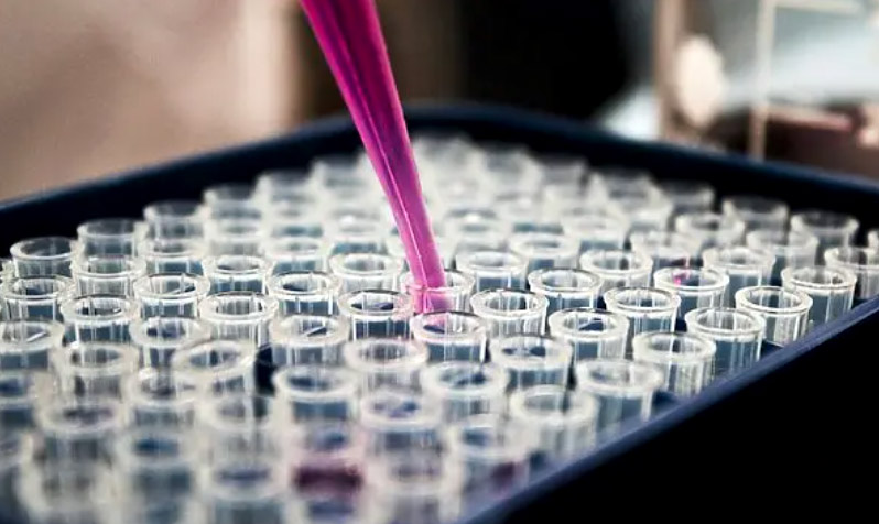 US funding freeze puts vital tuberculosis research at risk as global health crisis looms