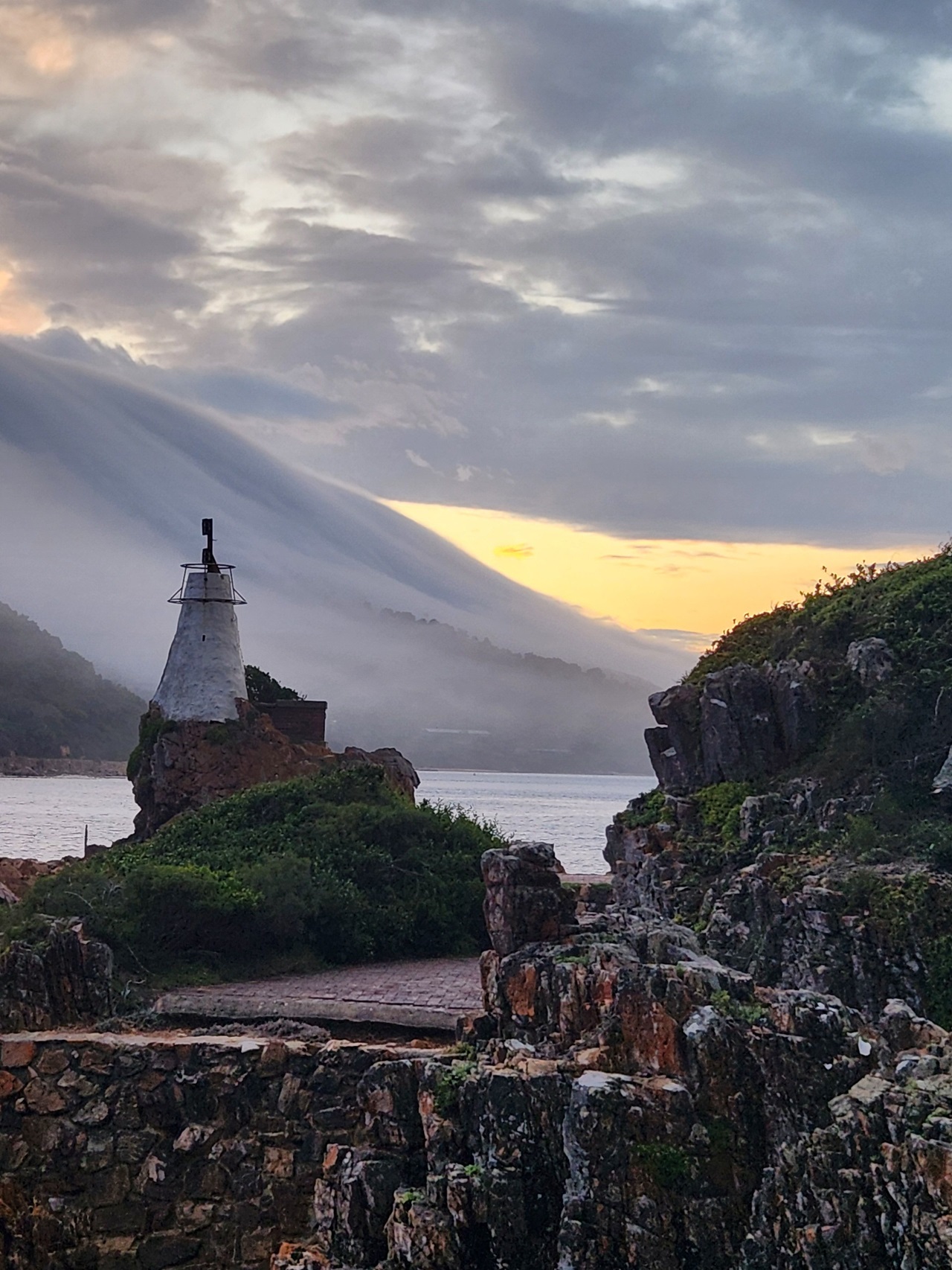 I have a picture for you! 22 March-28 March 2025