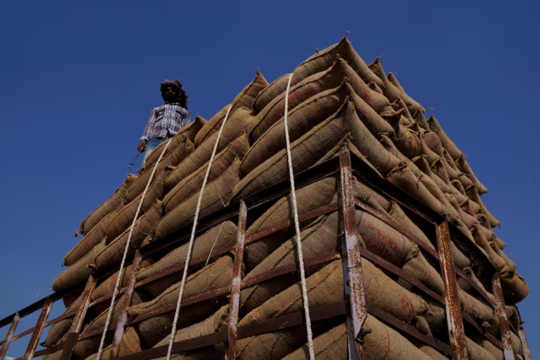 India allows exports of broken rice to cut stockpiles