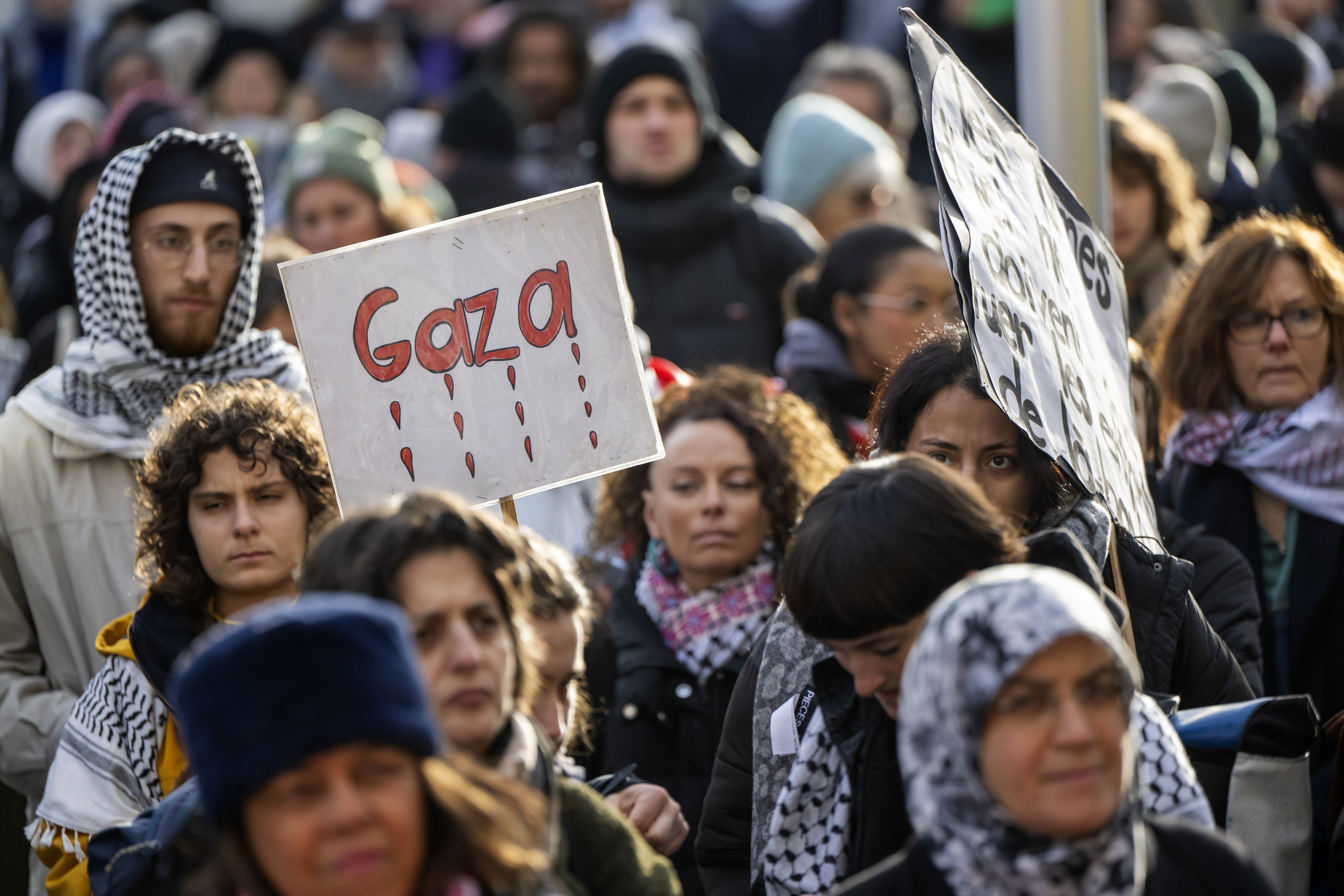 Rally in support of the Palestinian and Lebanese people, in Geneva
