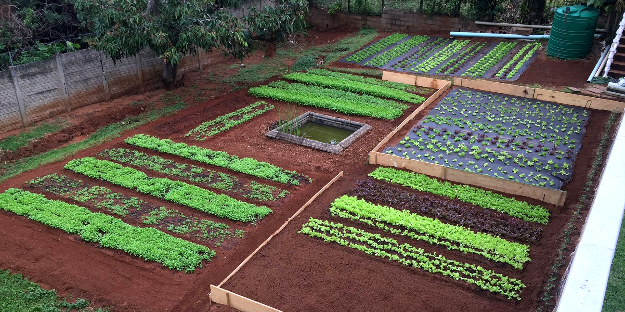 It’s time to get territorial — for food security, jobs and the environment