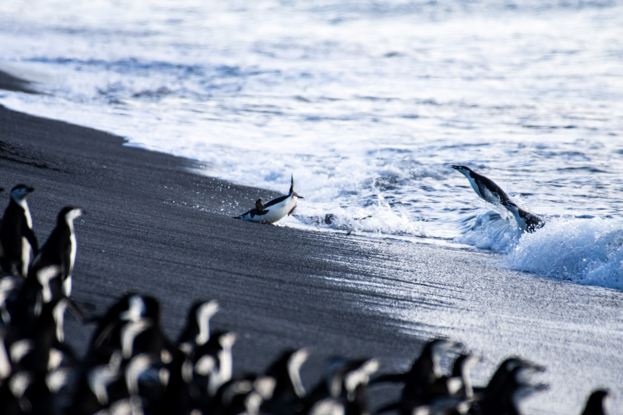 Sony Wold Photography Awards winners 2025