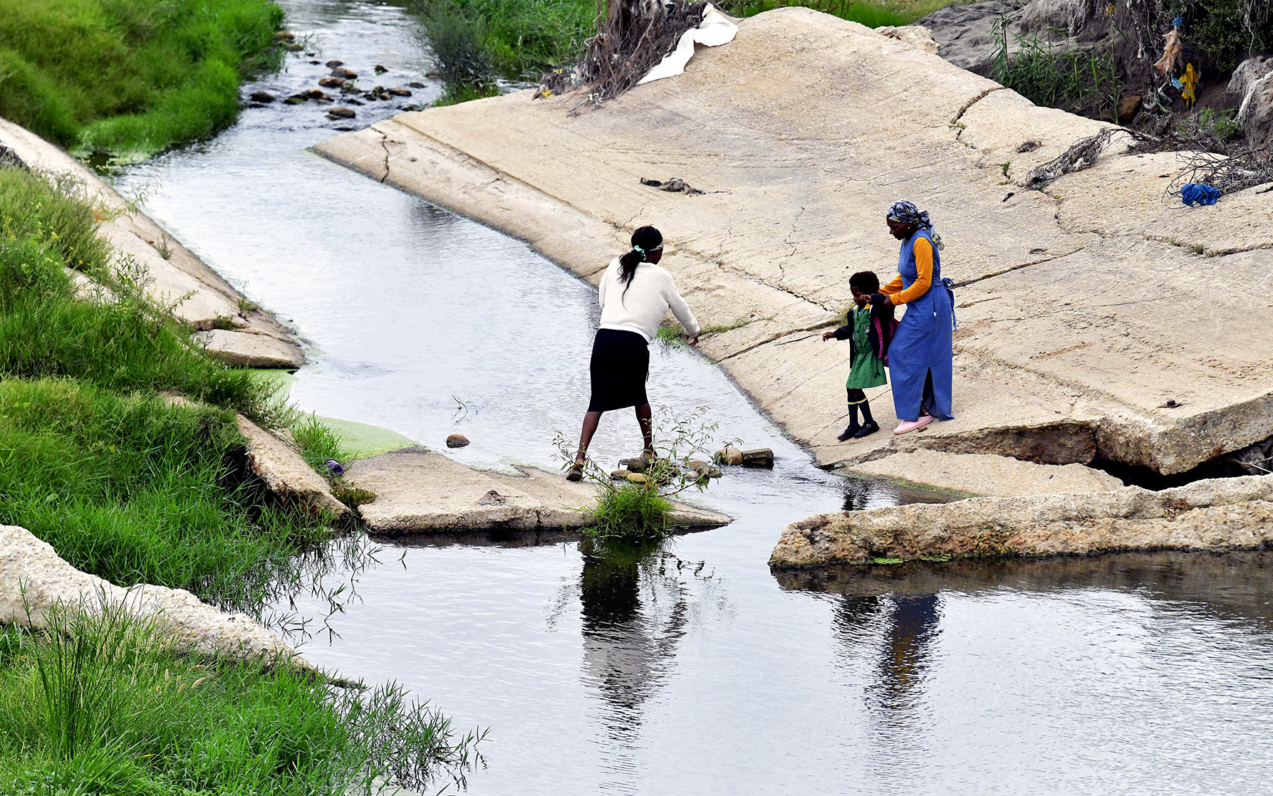 DFFE's efforts to implement Climate Change Act hit by funding shortfall