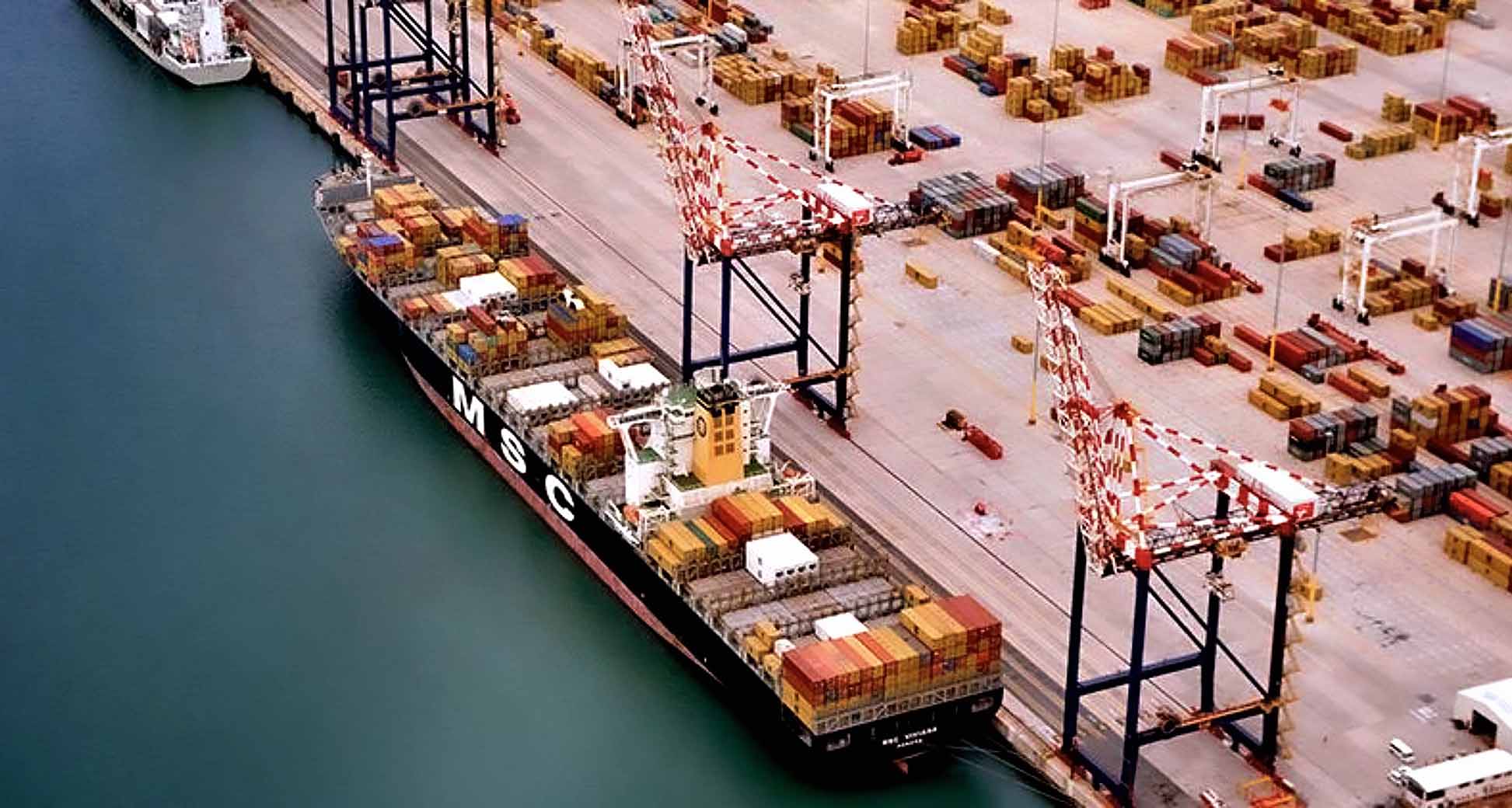 Heavy blow — Trump tariffs to hit problem-riddled Eastern Cape hard