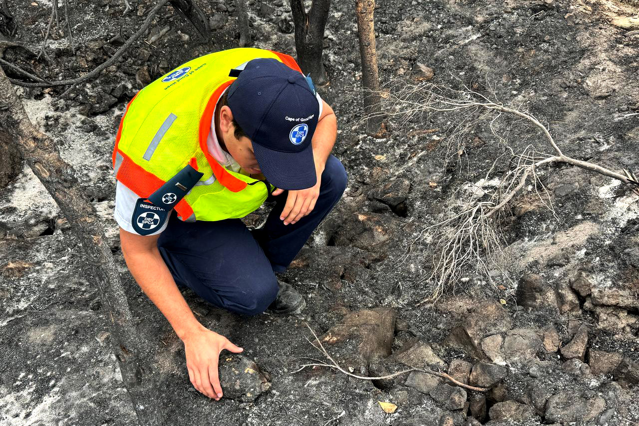 Cape Town’s Tokai fire: SPCA races to rescue wildlife amid heartbreaking silence of devastation