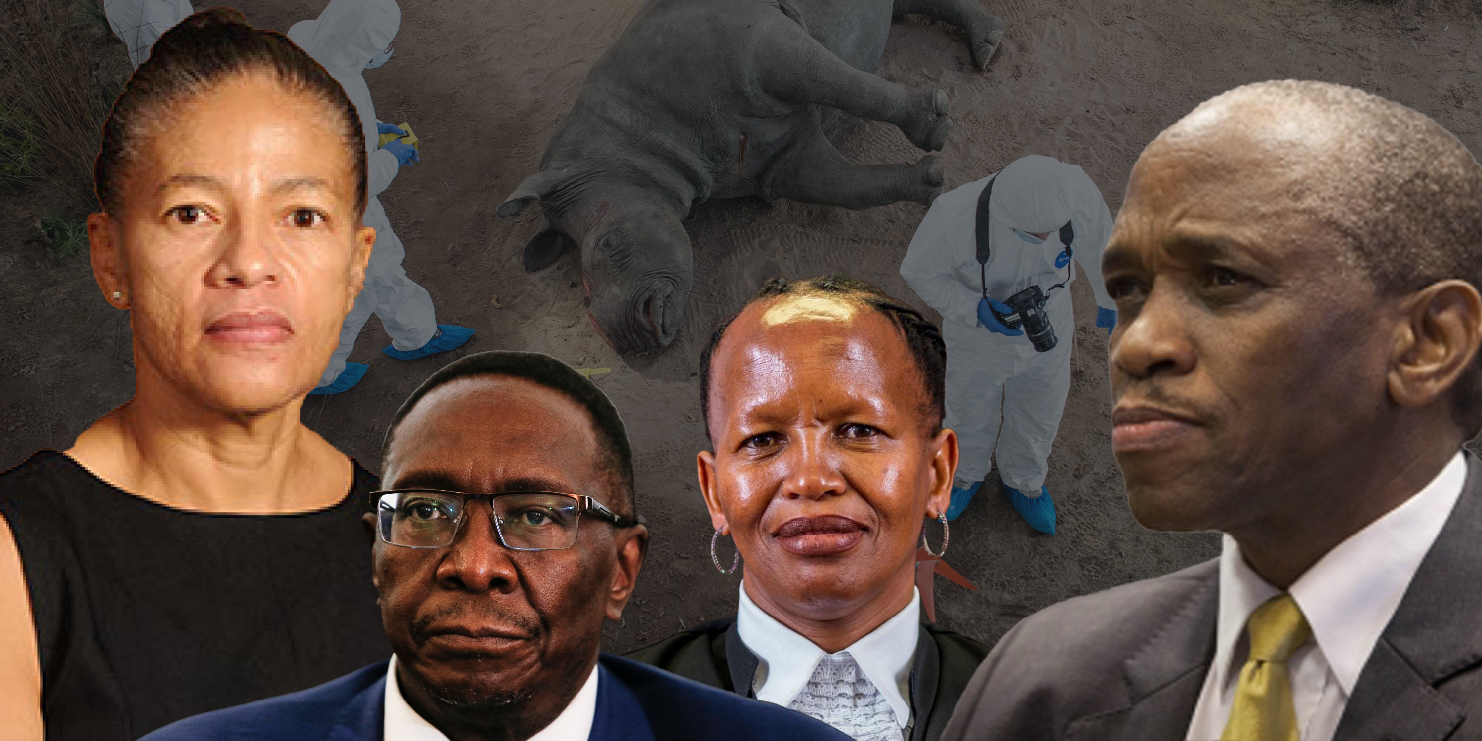 ‘Belligerent’ magistrate again ordered to back off on Kruger Park wildlife crimes court shutdown