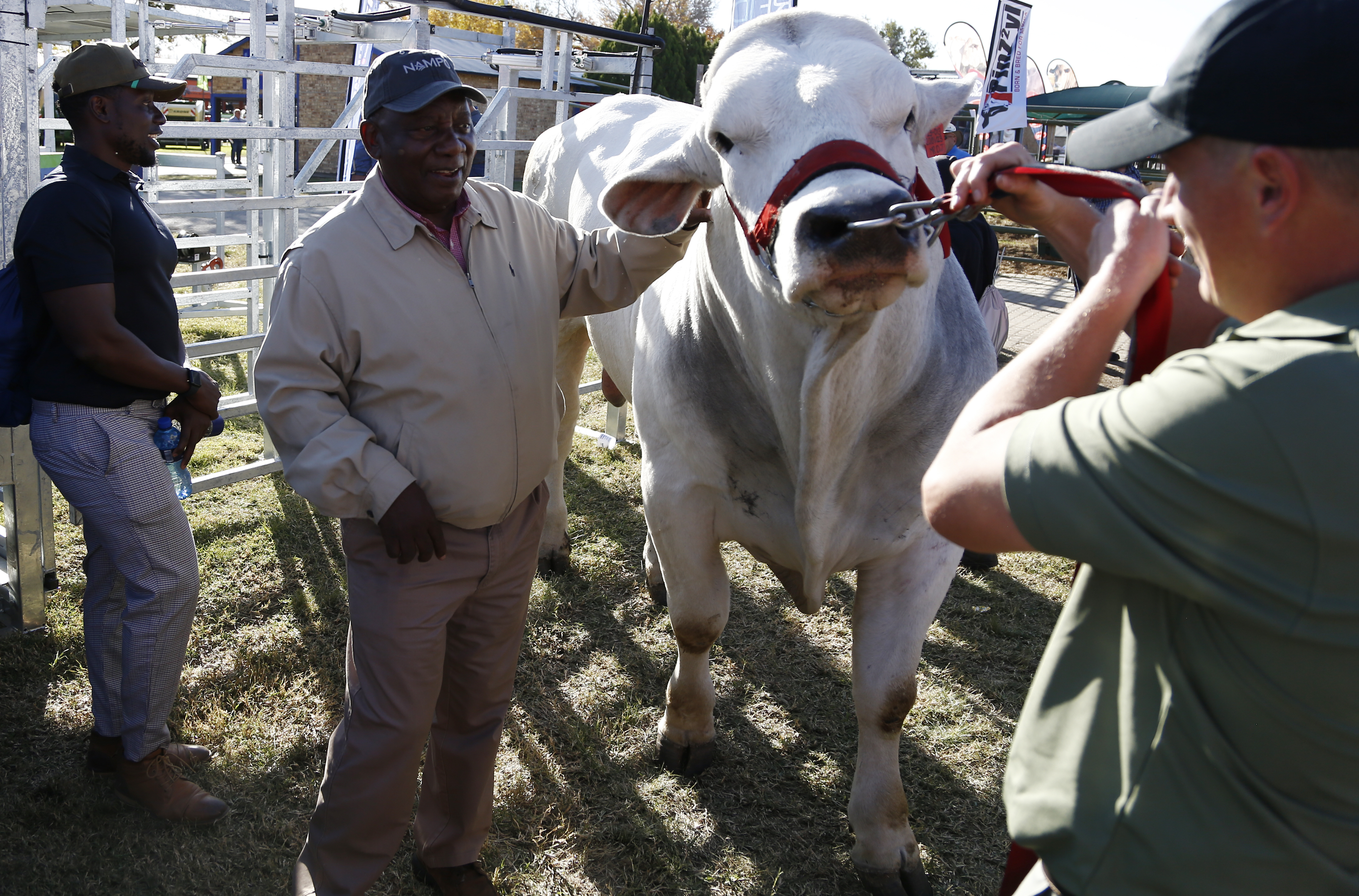 Inside NAMPO: South Africa’s agricultural exhibition in the Free State