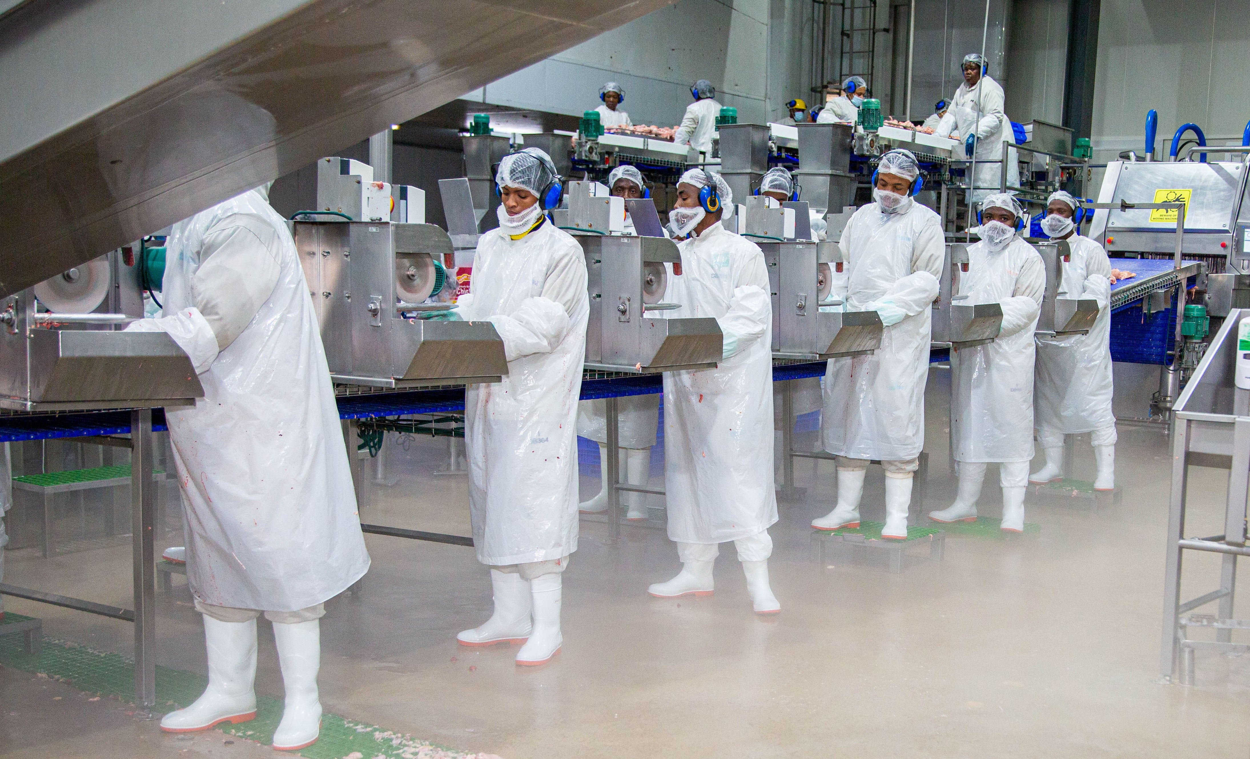 How Daybreak’s chickens came home to roost