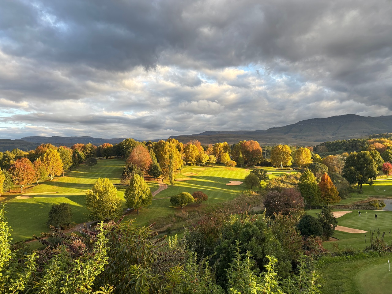 I have a picture for you! 10 May-16 May 2025