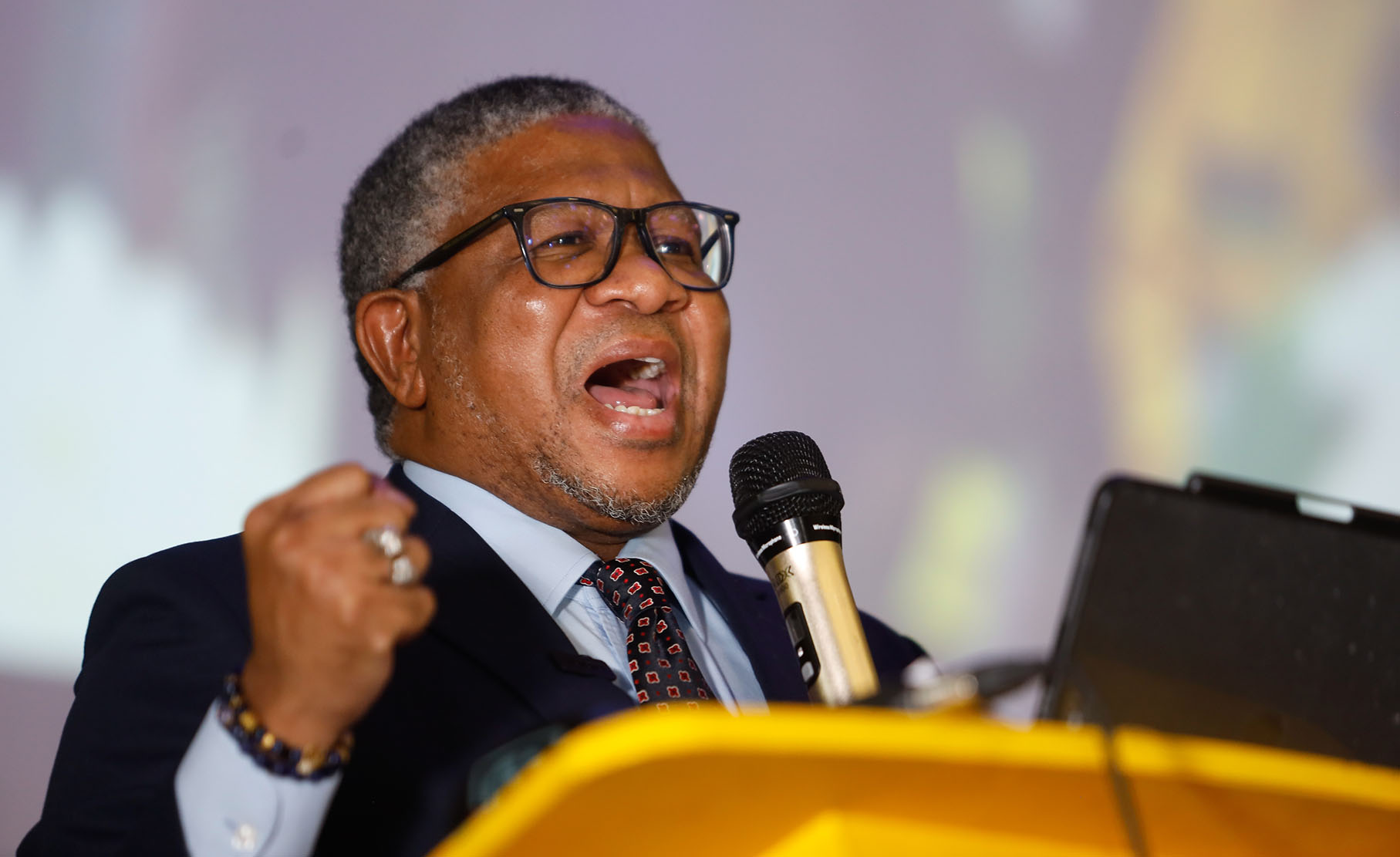 DA is ‘working overtime to reverse the gains of freedom’ – Fikile Mbalula