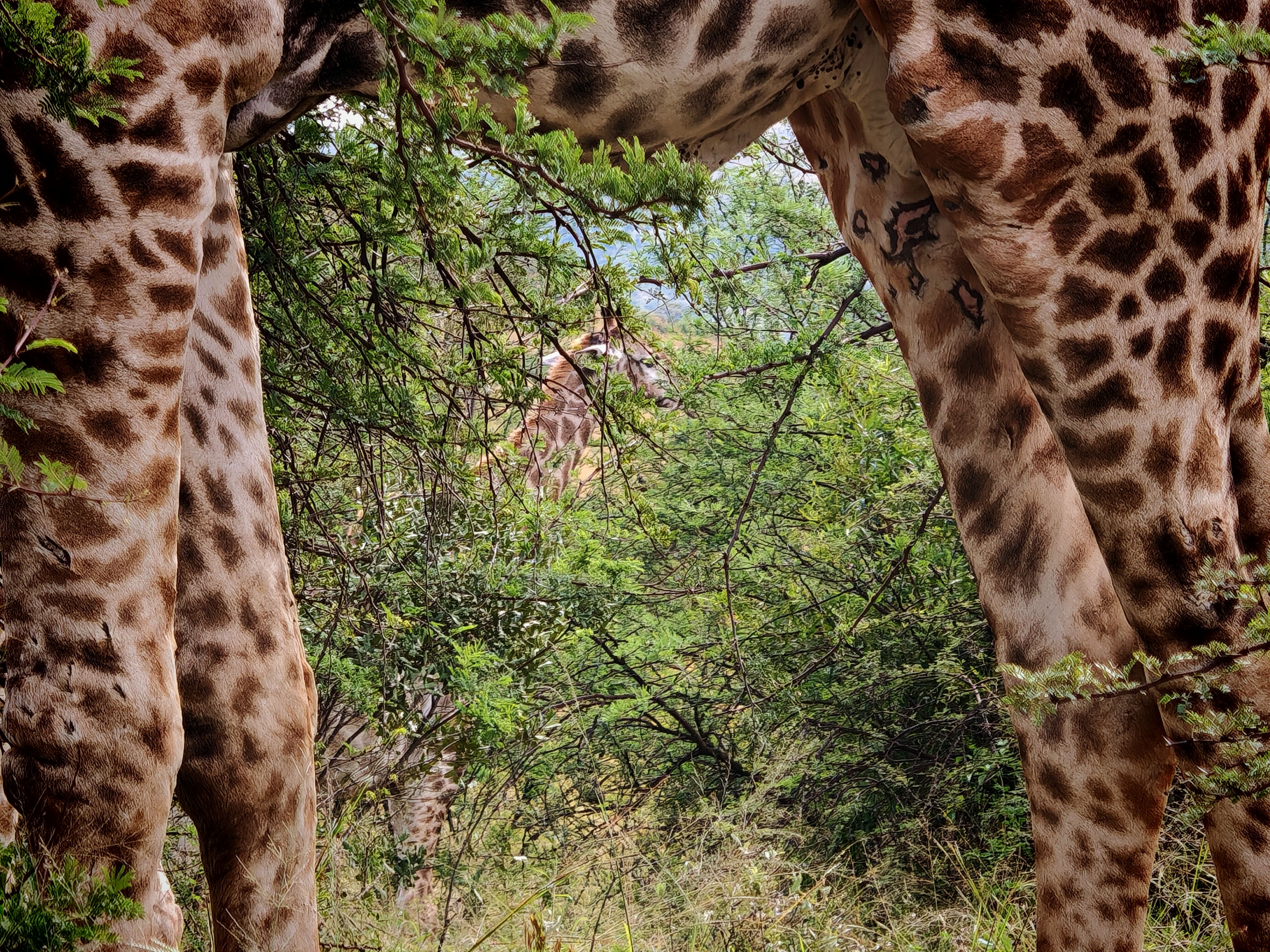 I have a picture for you! 03 May-09 May 2025