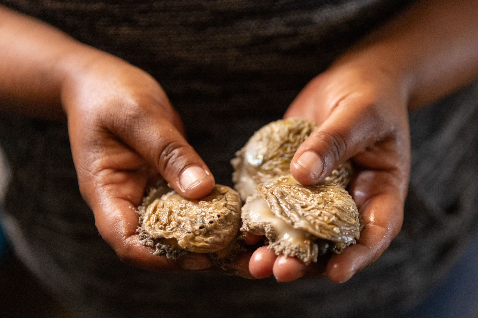 Commercial fishers red-flag looming conflict with small-scale sector amid abalone quota uncertainty, dwindling catches