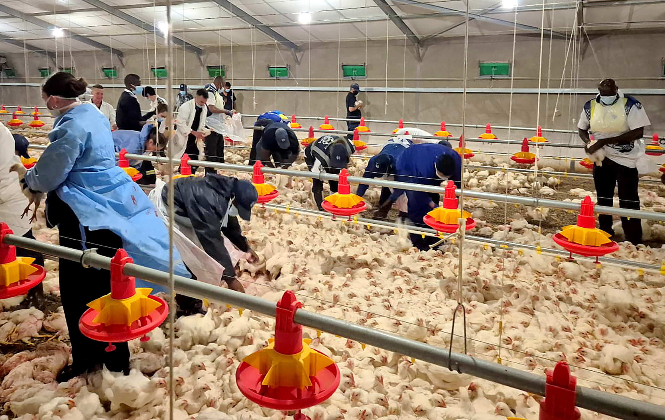 Daybreak Foods business rescue — a new board fails to instil hope in workers